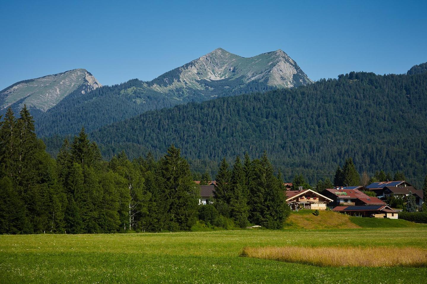 Ferienwohnung zum Hirschgarten