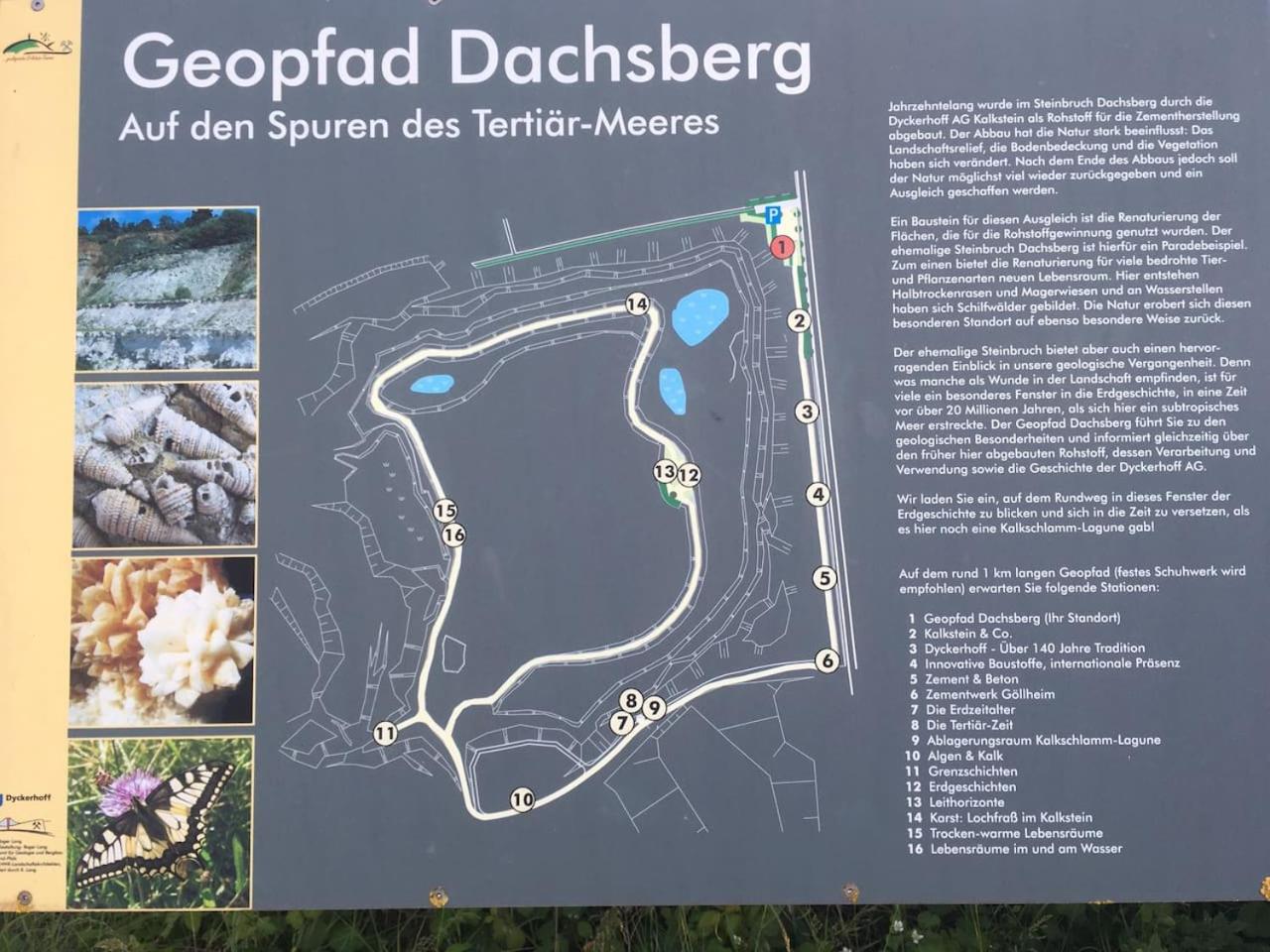 Ferienwohnung zwischen Wald und Reben