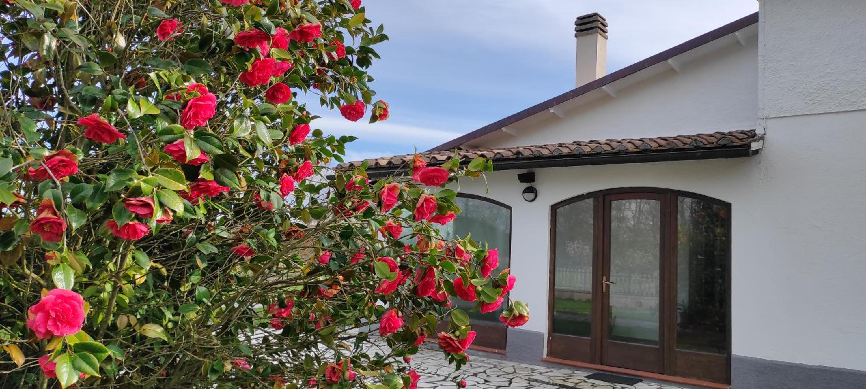B&B Villa Magnolia view 3