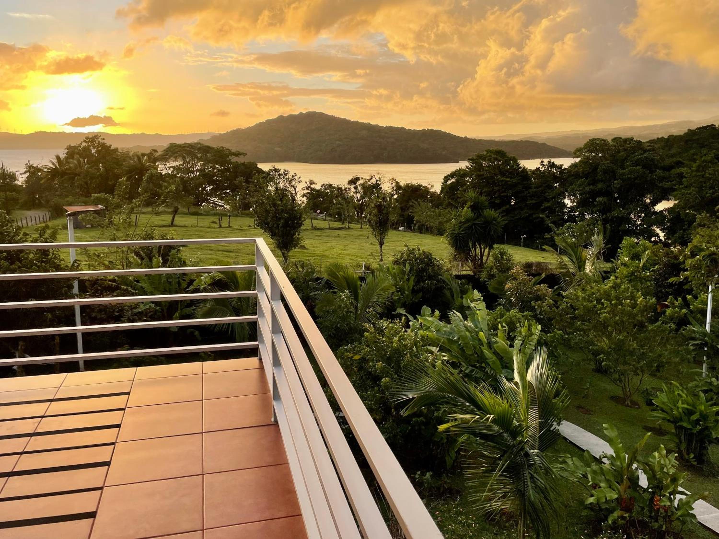 The Fruit Tree Garden Bromeliad Suite