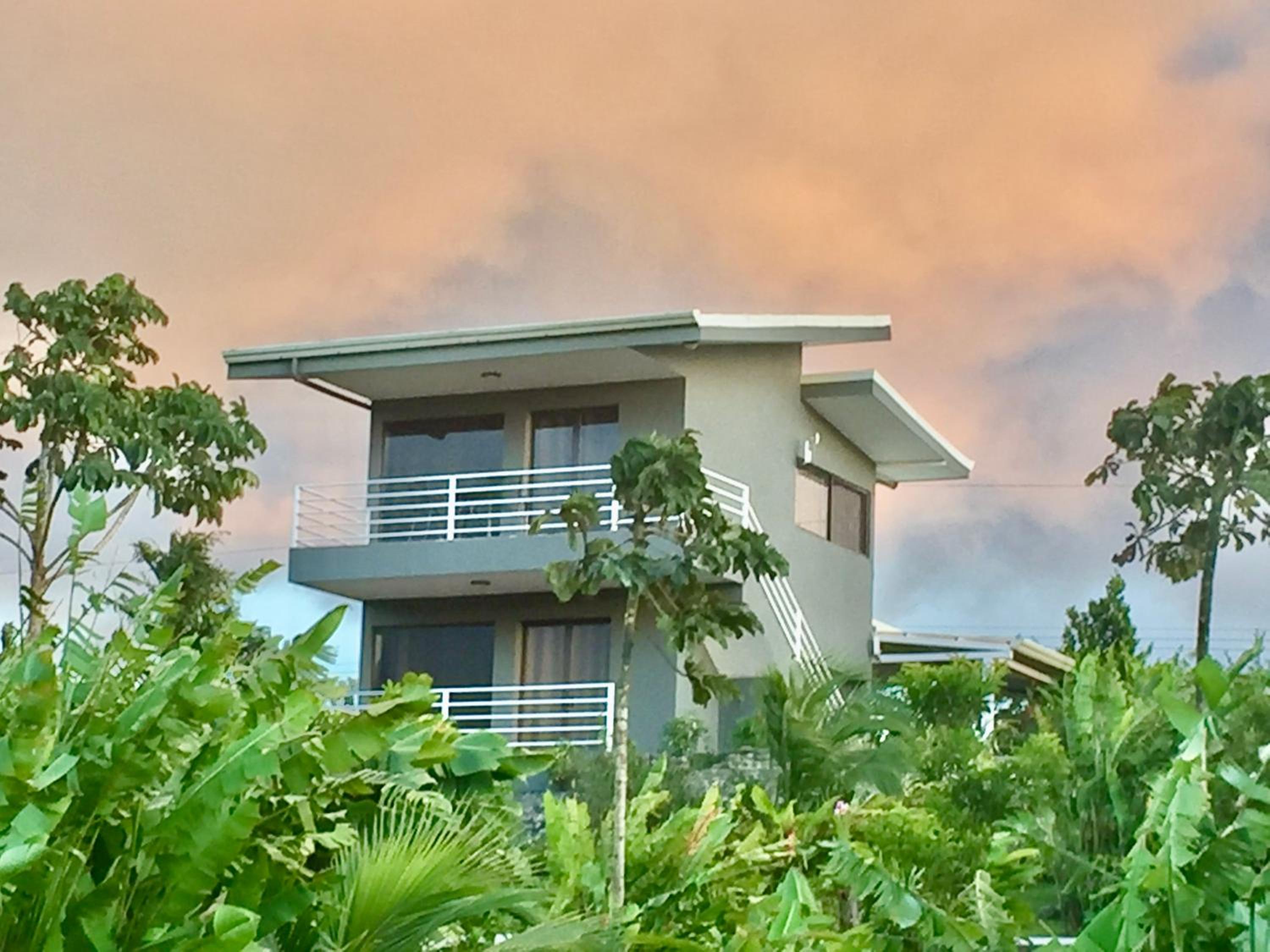 The Fruit Tree Garden Bromeliad Suite