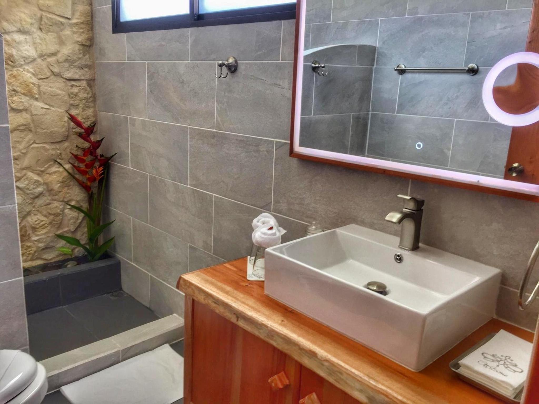 The Fruit Tree Garden Bromeliad Suite