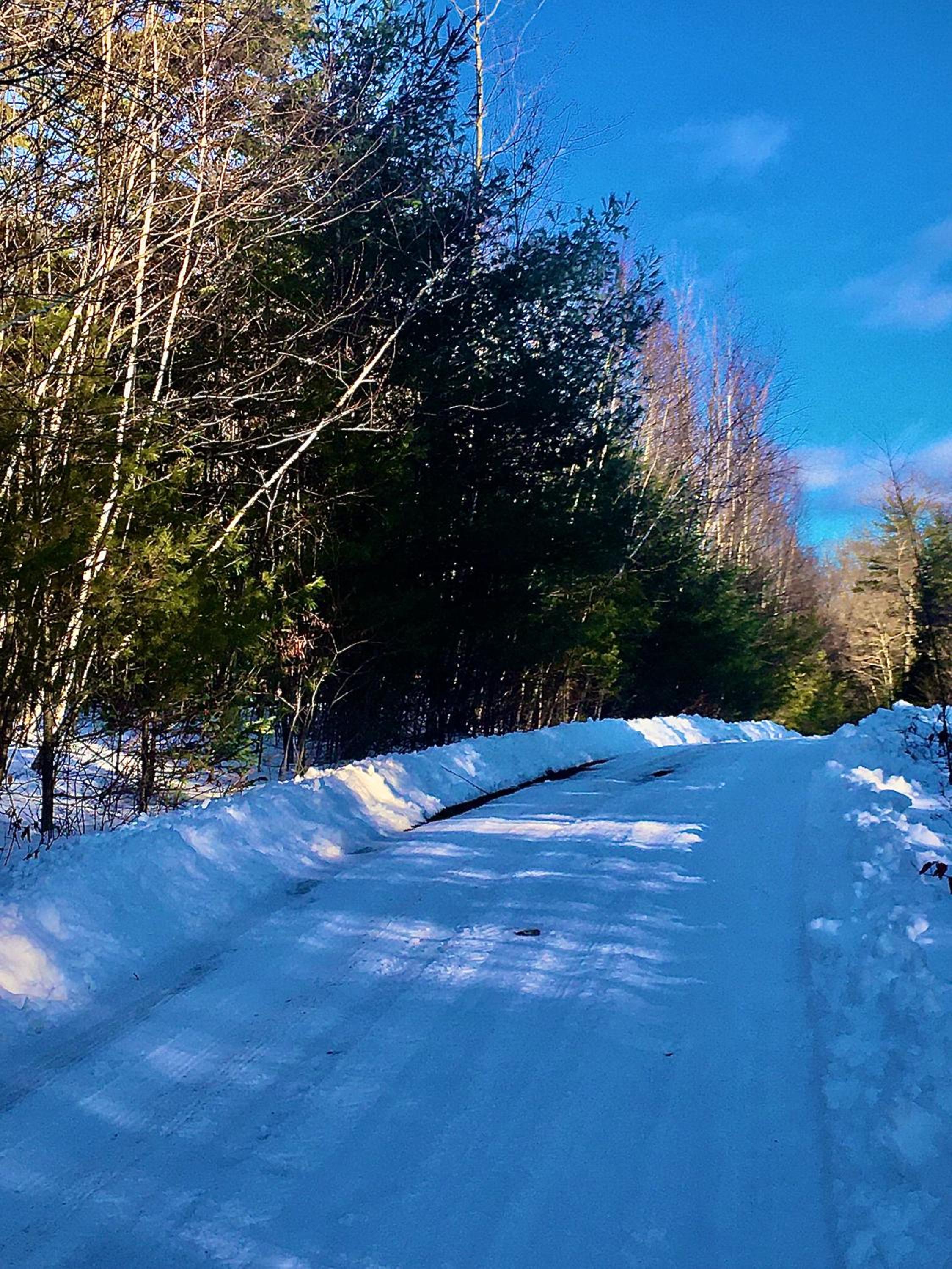 Mountain-Top-Hideaway Stay in a log cabin on a private rd! Swim, hike, explore a true mountain experience