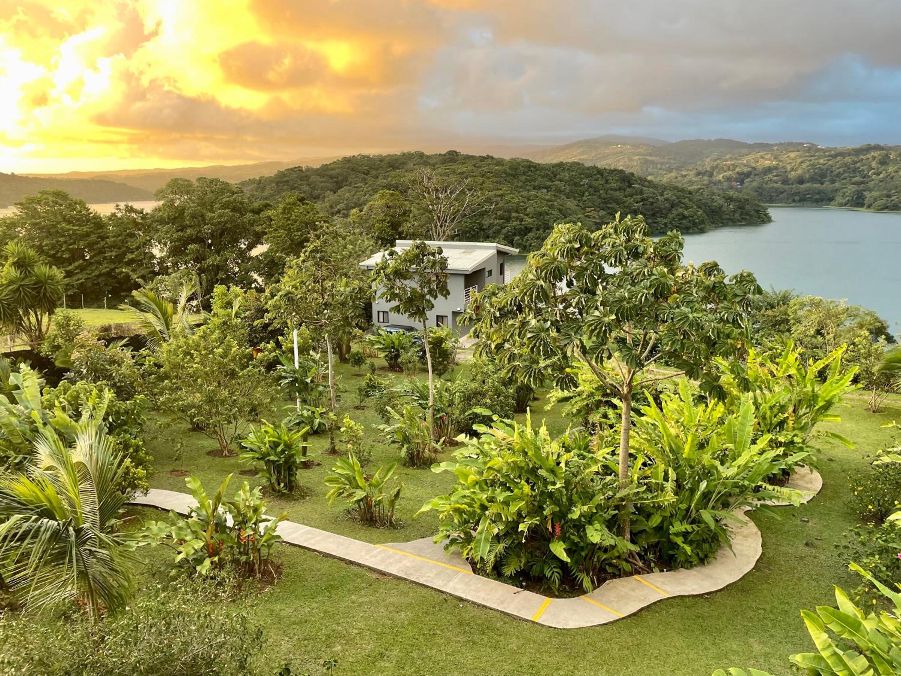 The Fruit Tree Garden Bromeliad Suite