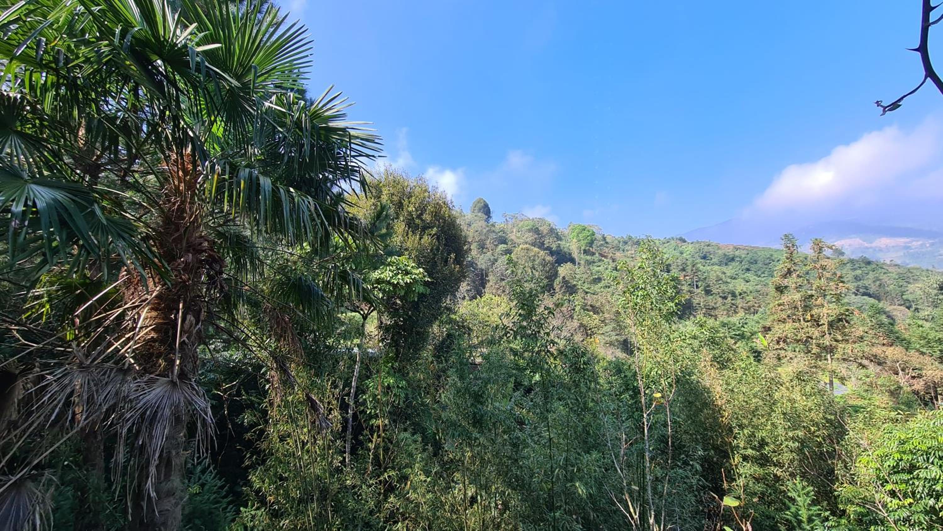 Sapa Garden Bungalow
