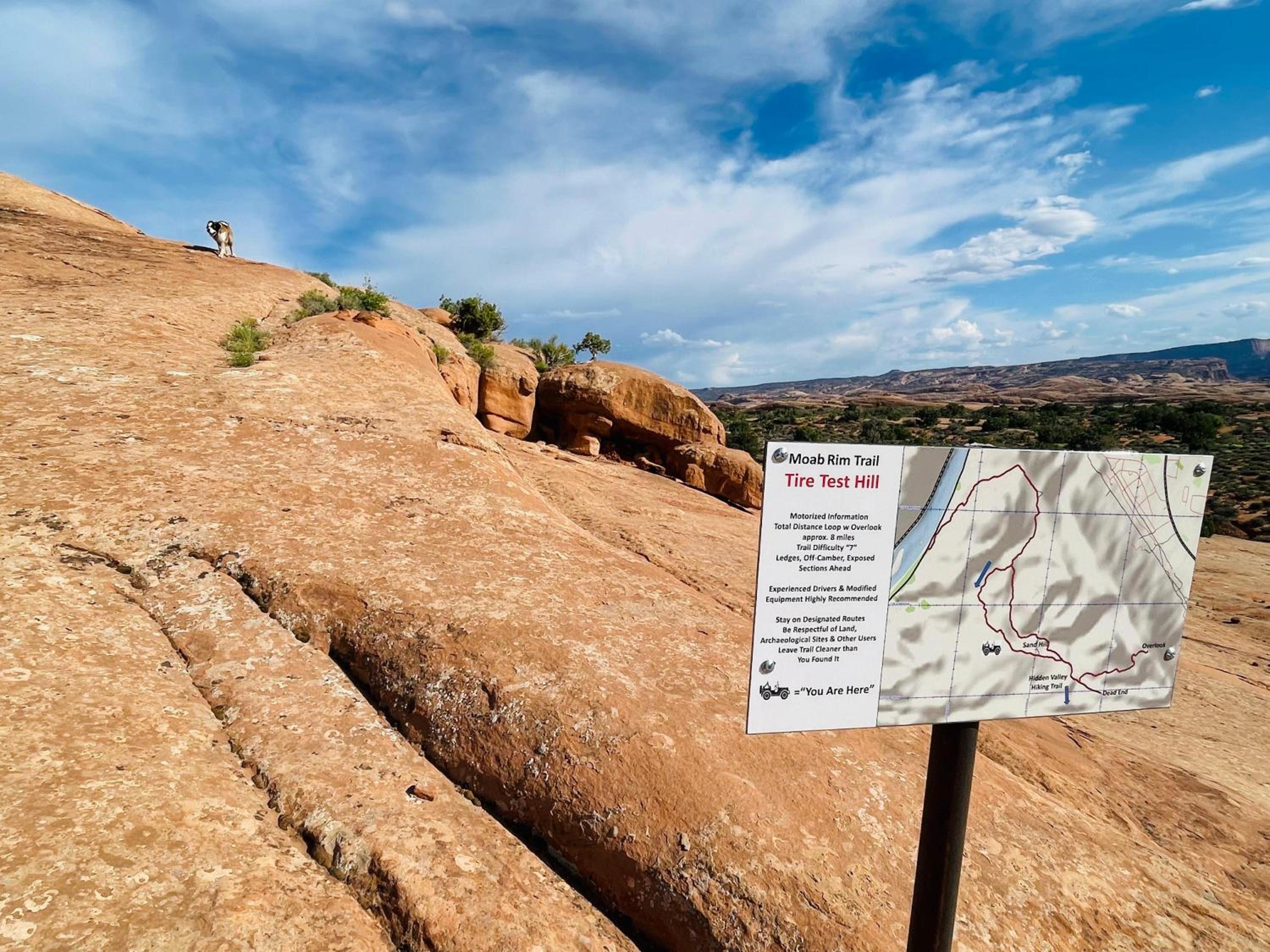 Photo 50