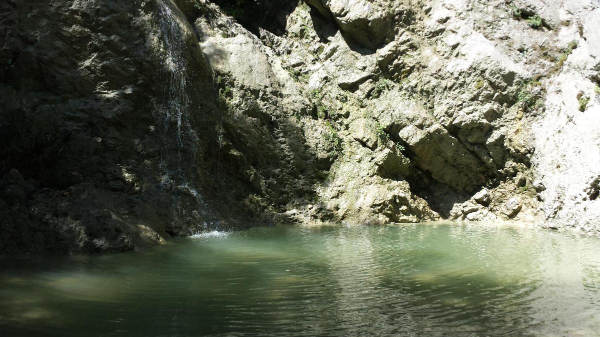 Photo 49