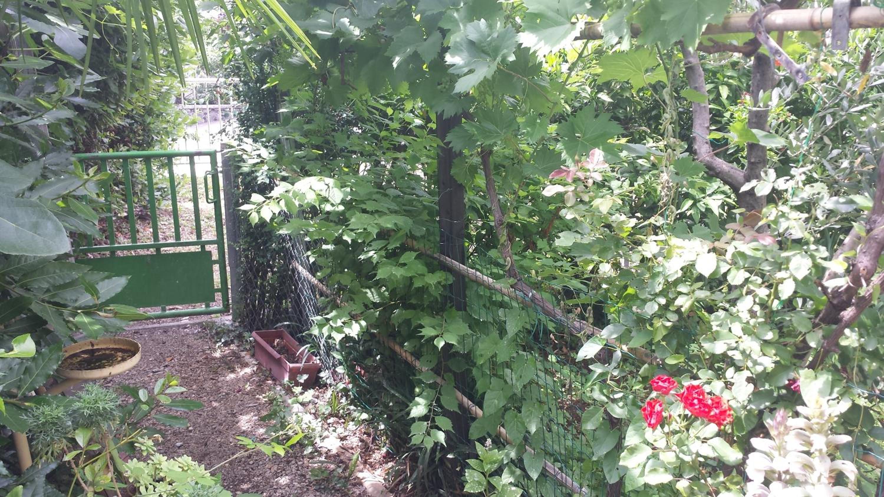 Photo 39