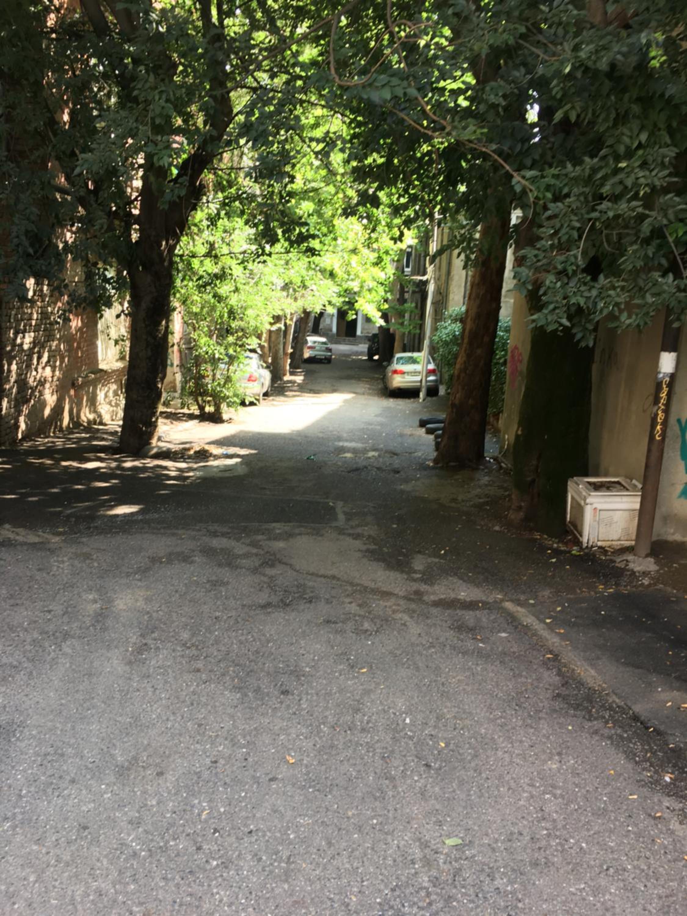 Photo 31