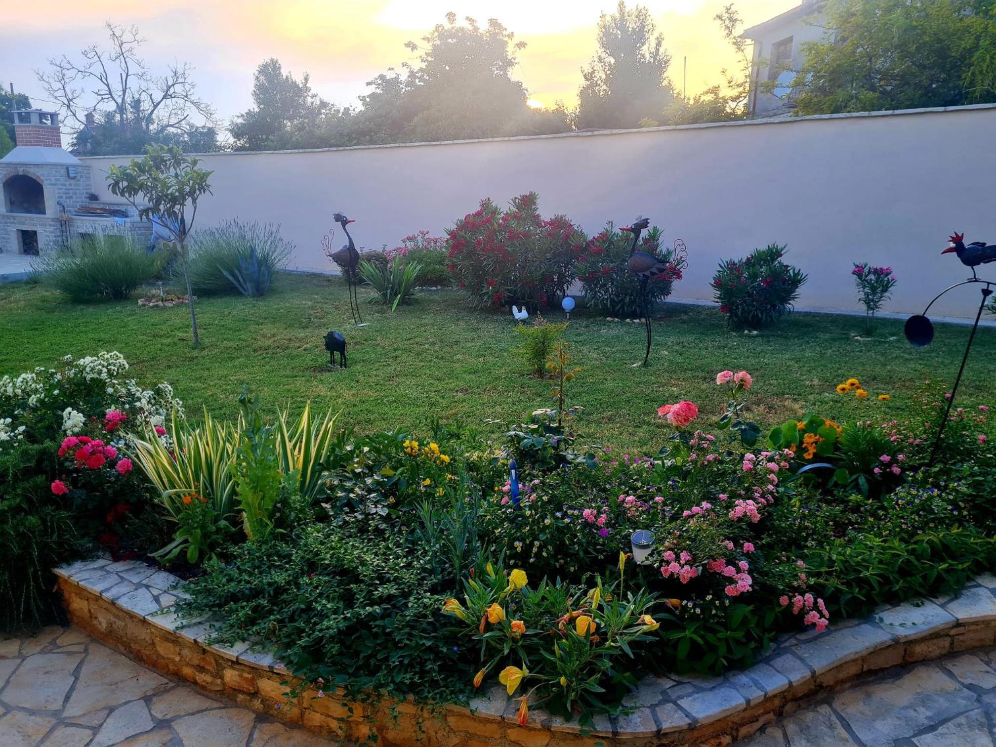 Apartman Boro view 4