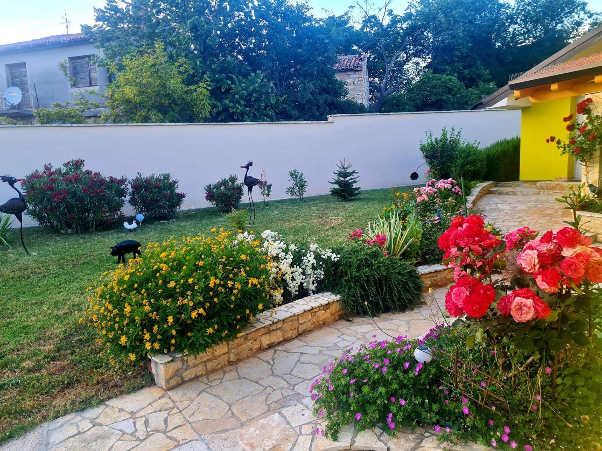Apartman Boro view 5