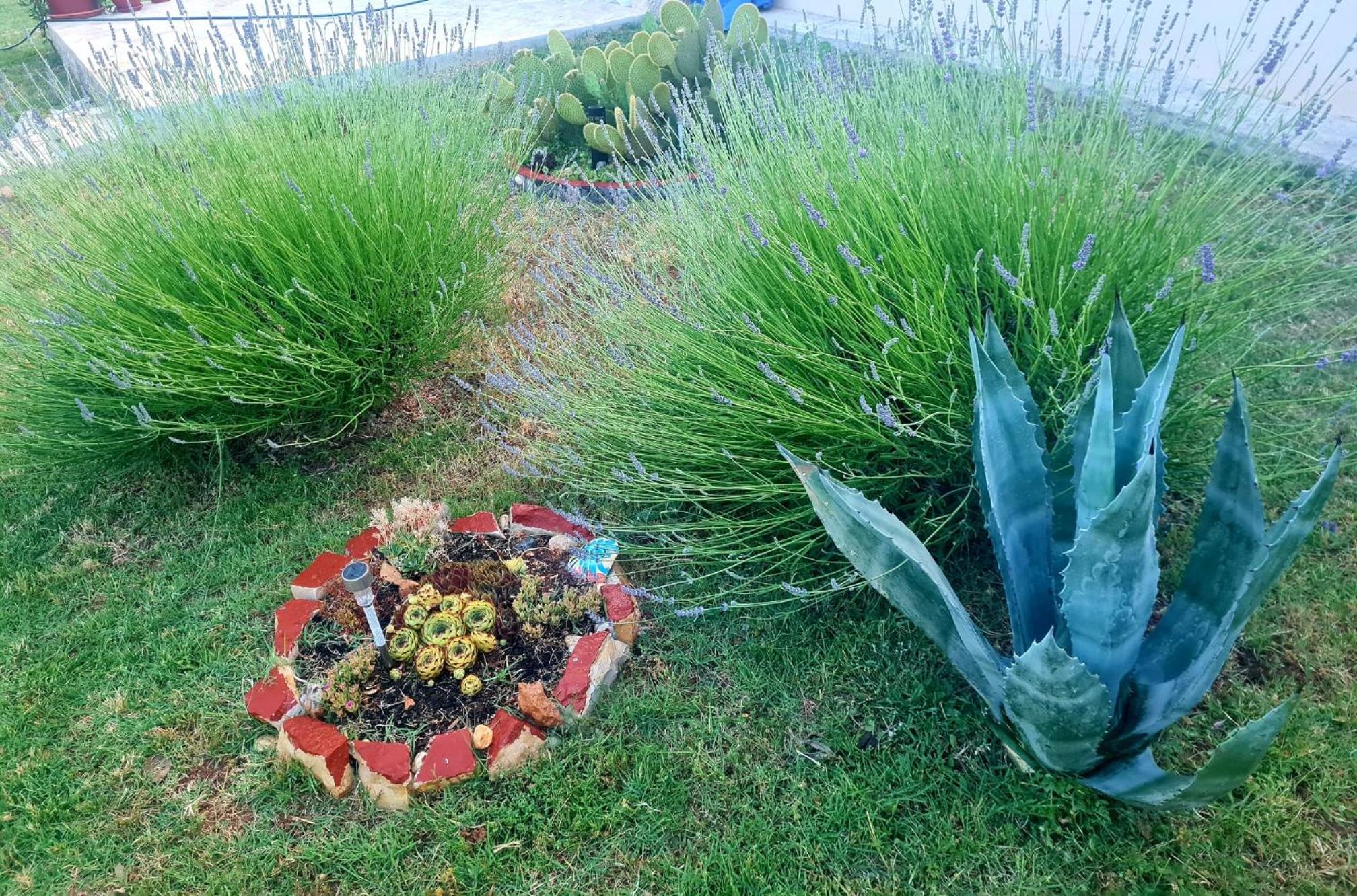 Apartman Boro view 3
