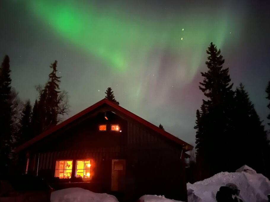 Cozy mountain house in Jämtland view 4