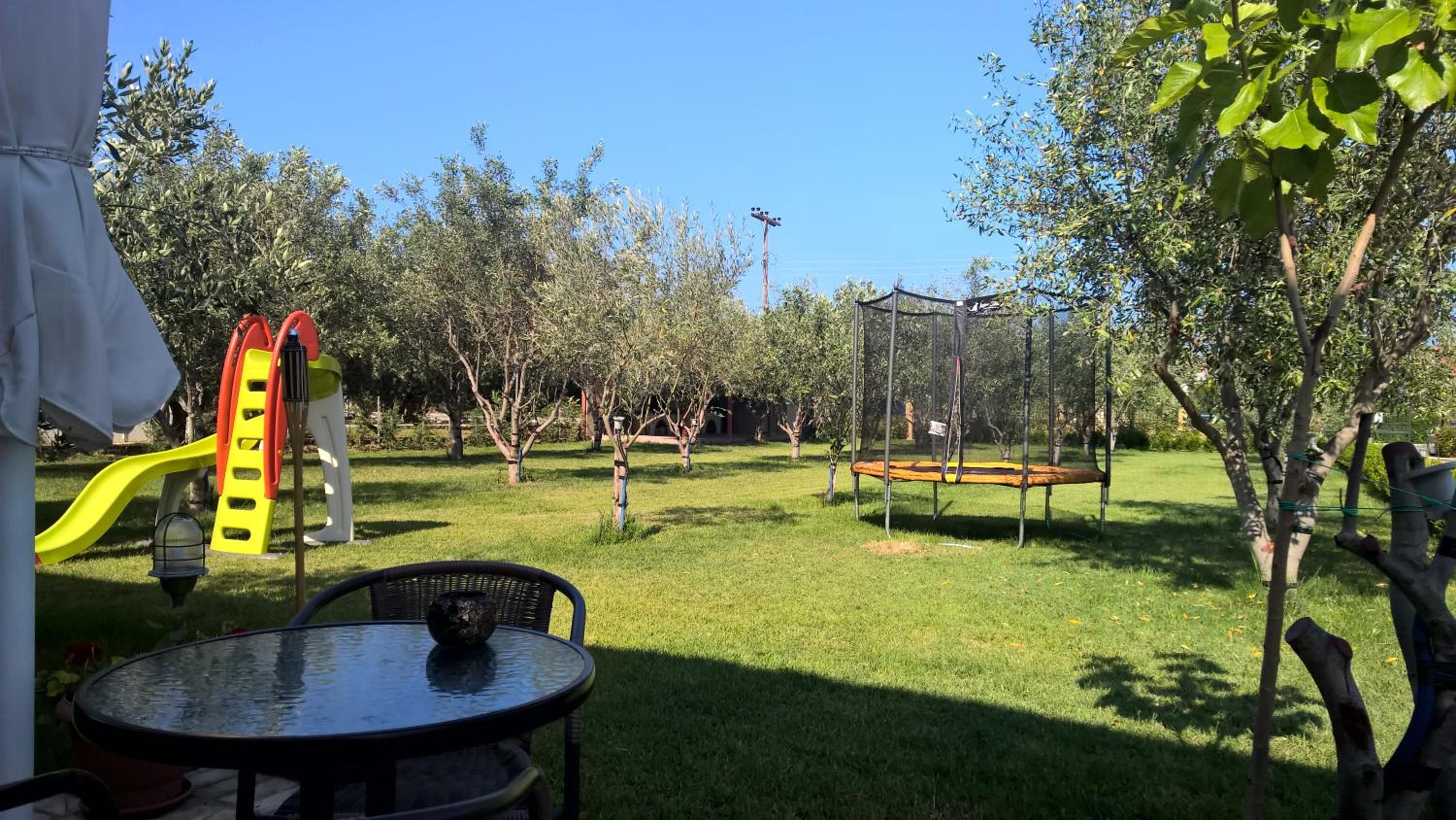 Photo 47
