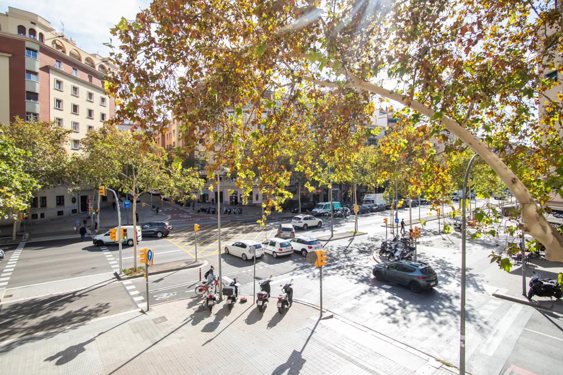 P1GRVCC1059 - Fantastic 2bedroom flat in the center