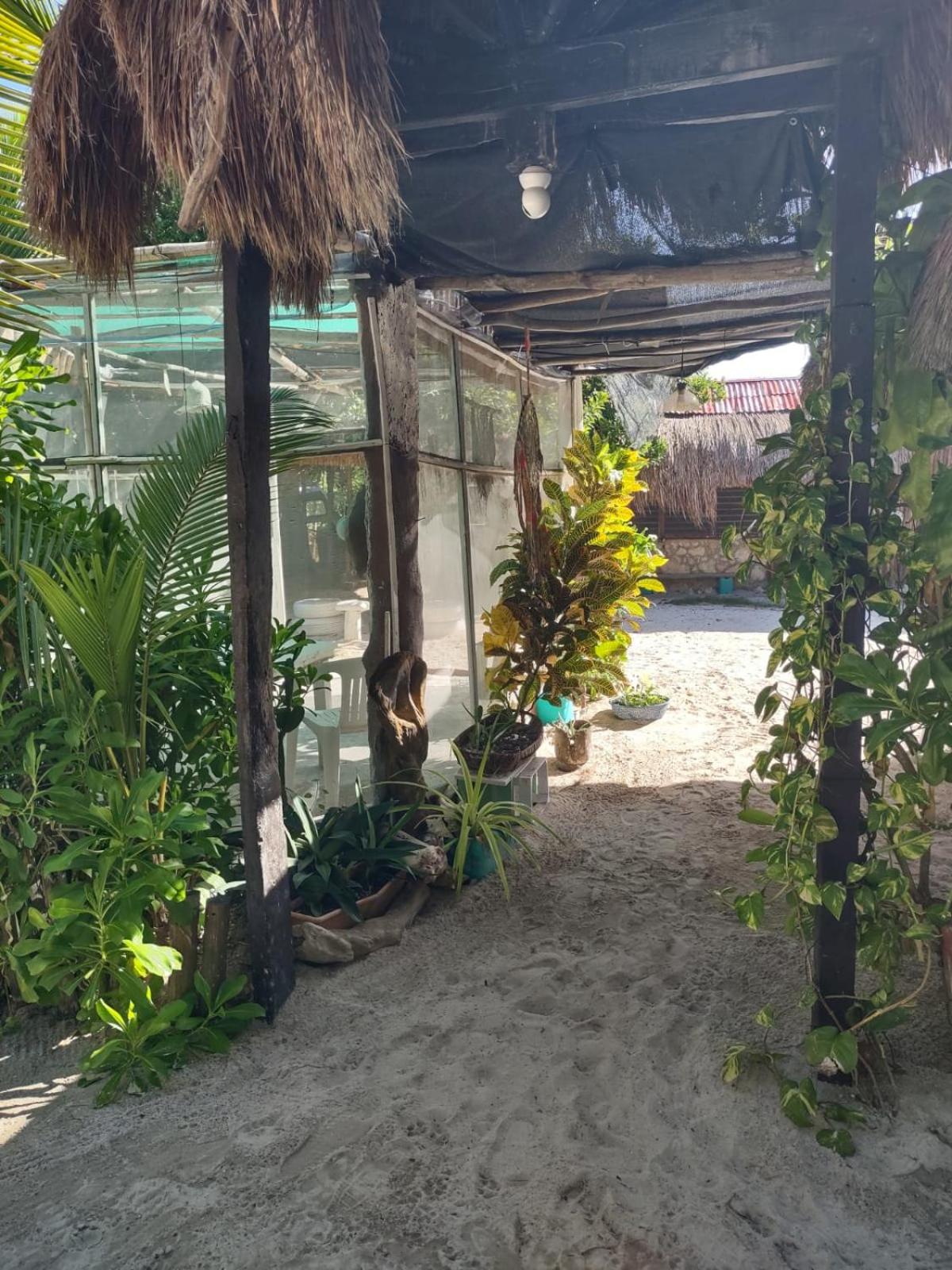 Lunazul Eco-Cabaña Frente al Mar