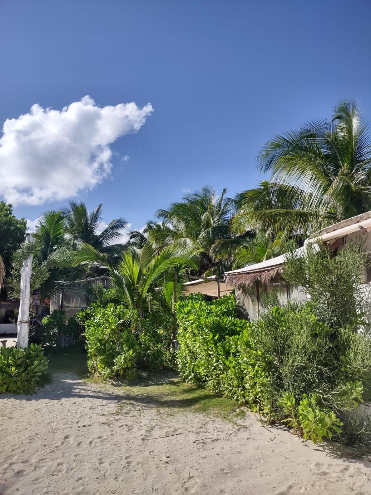 Lunazul Eco-Cabaña Frente al Mar