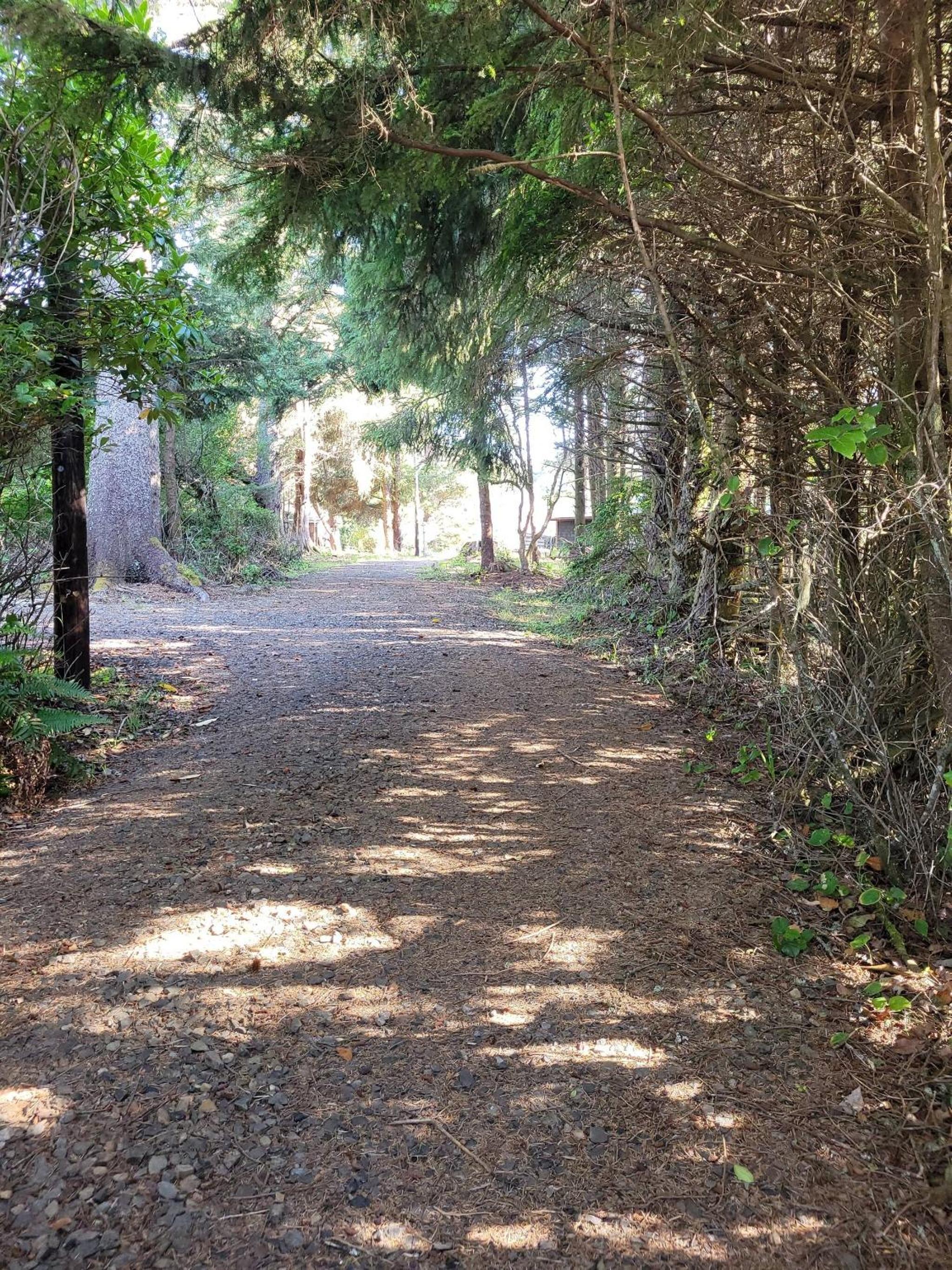 Cape Meares Lake Beach Retreat Views Beach view 3