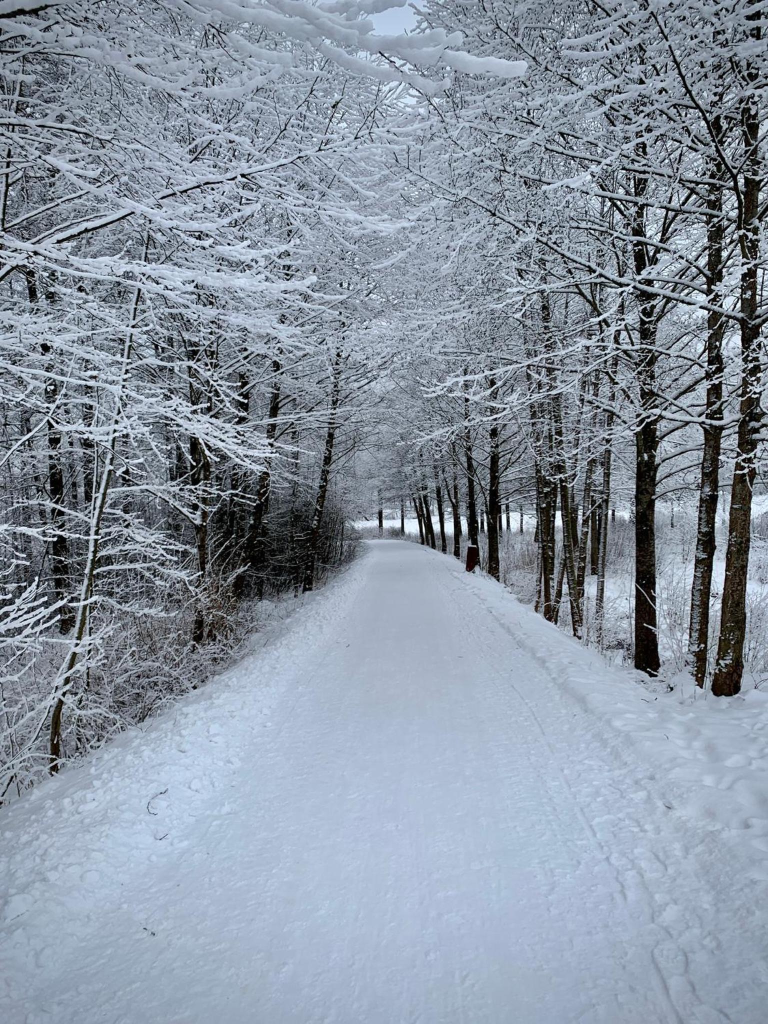 Naše chata Lipno