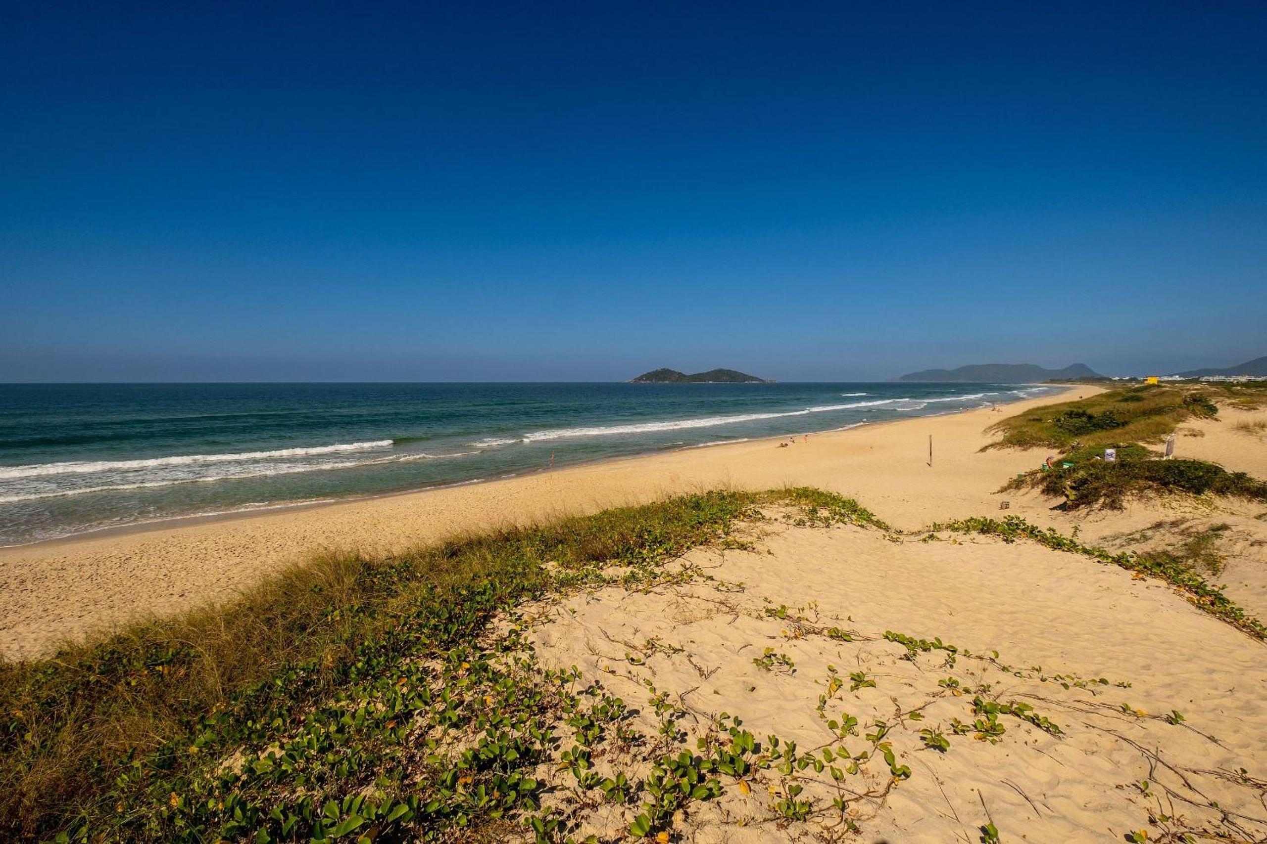 High standard studio on the sand in Floripa IRB205