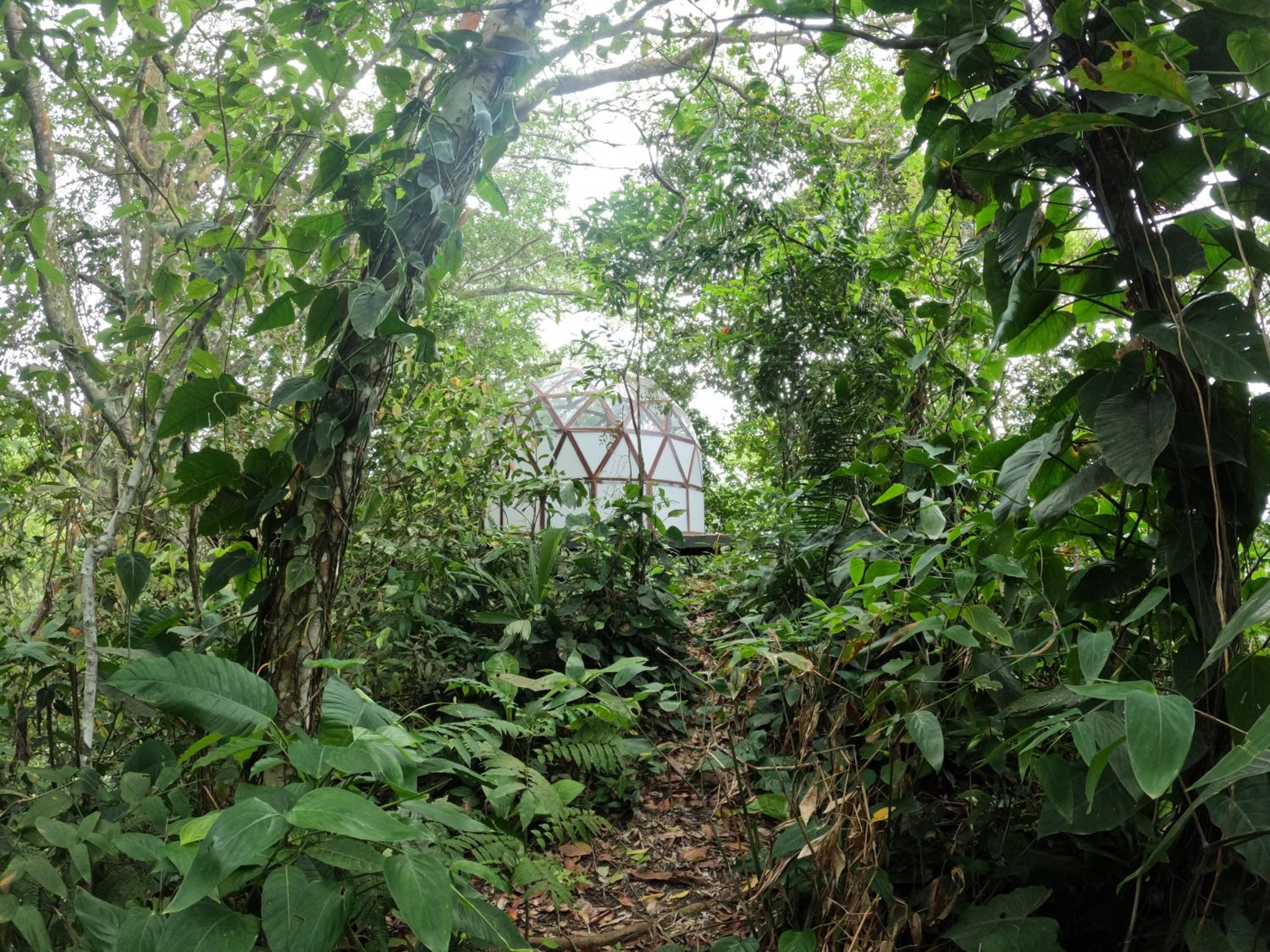 Photo 18