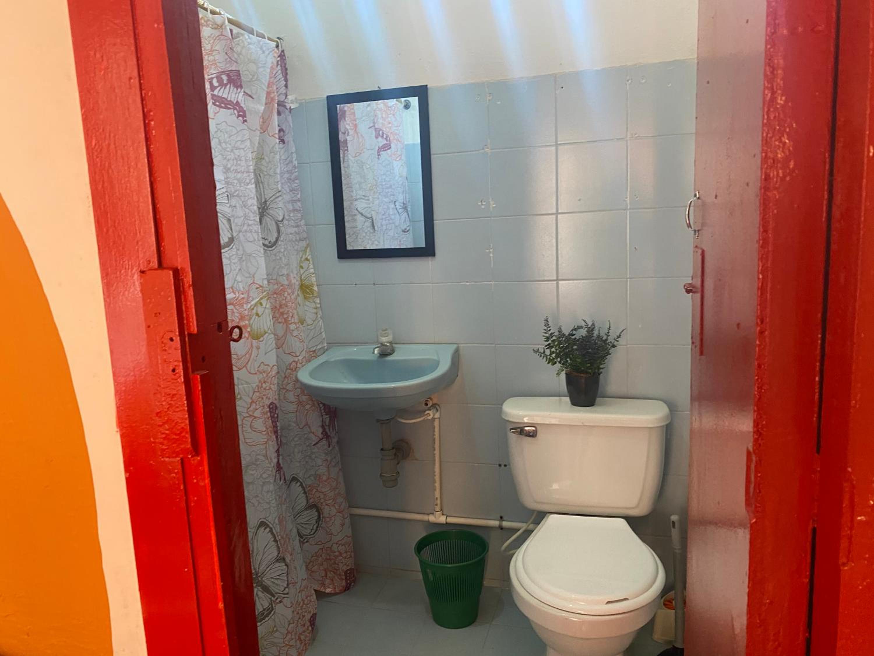 Habitación Amapola