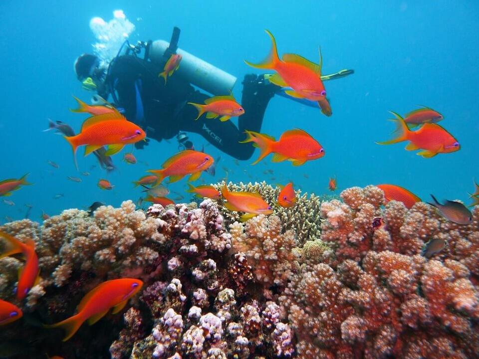 Vacances Guadeloupe
