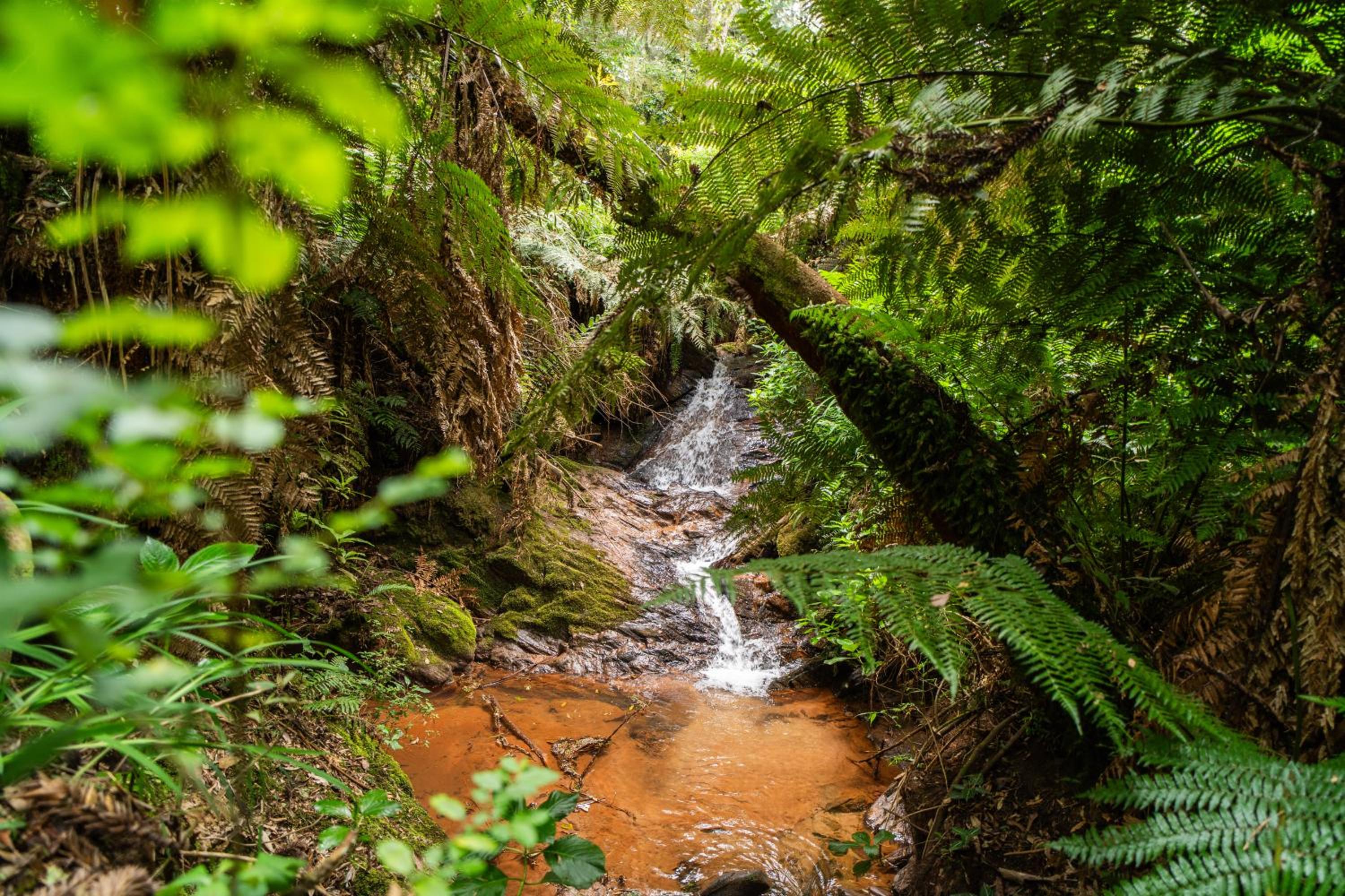 Incrível casa com cachoeira em meio à natureza