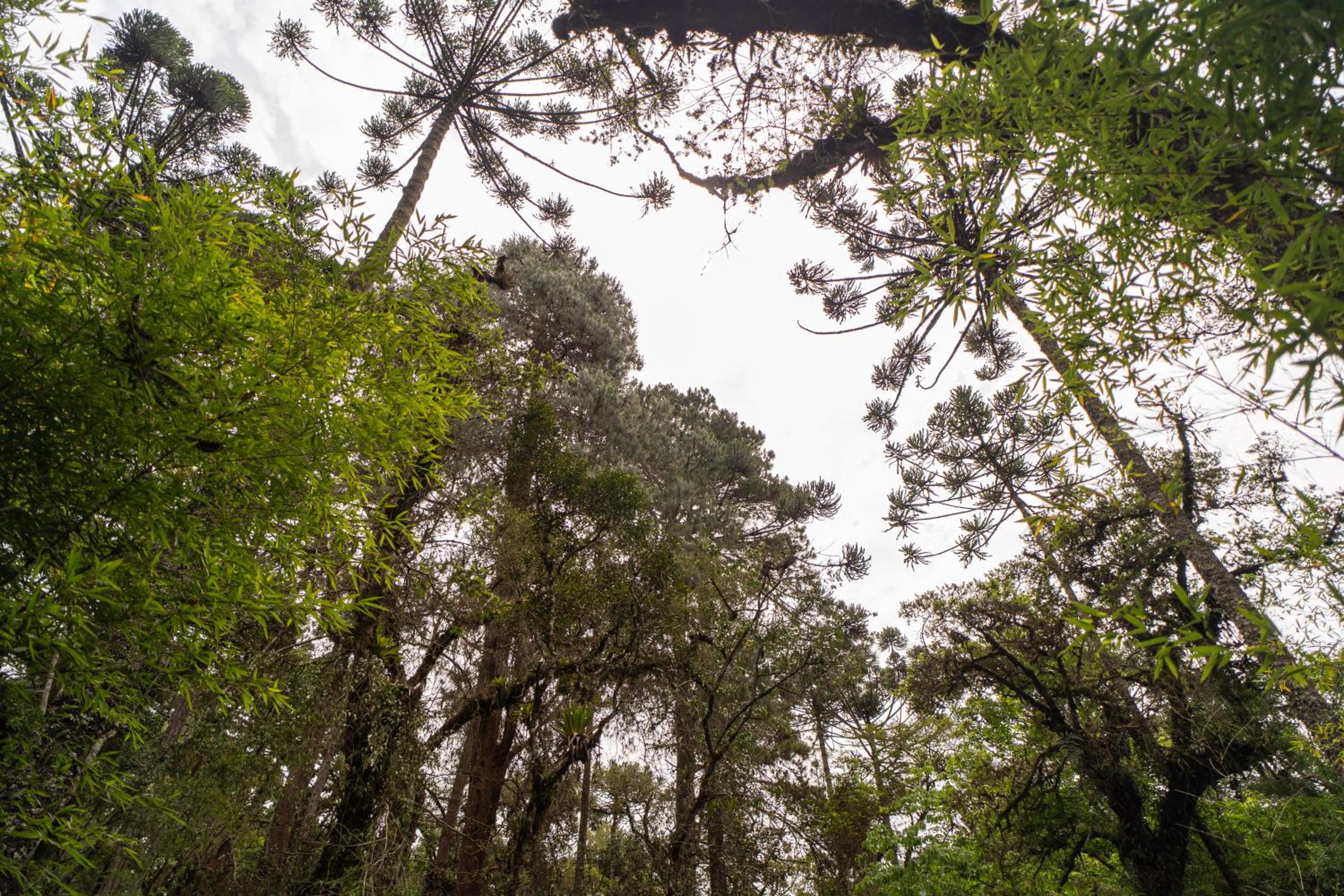 Incrível casa com cachoeira em meio à natureza
