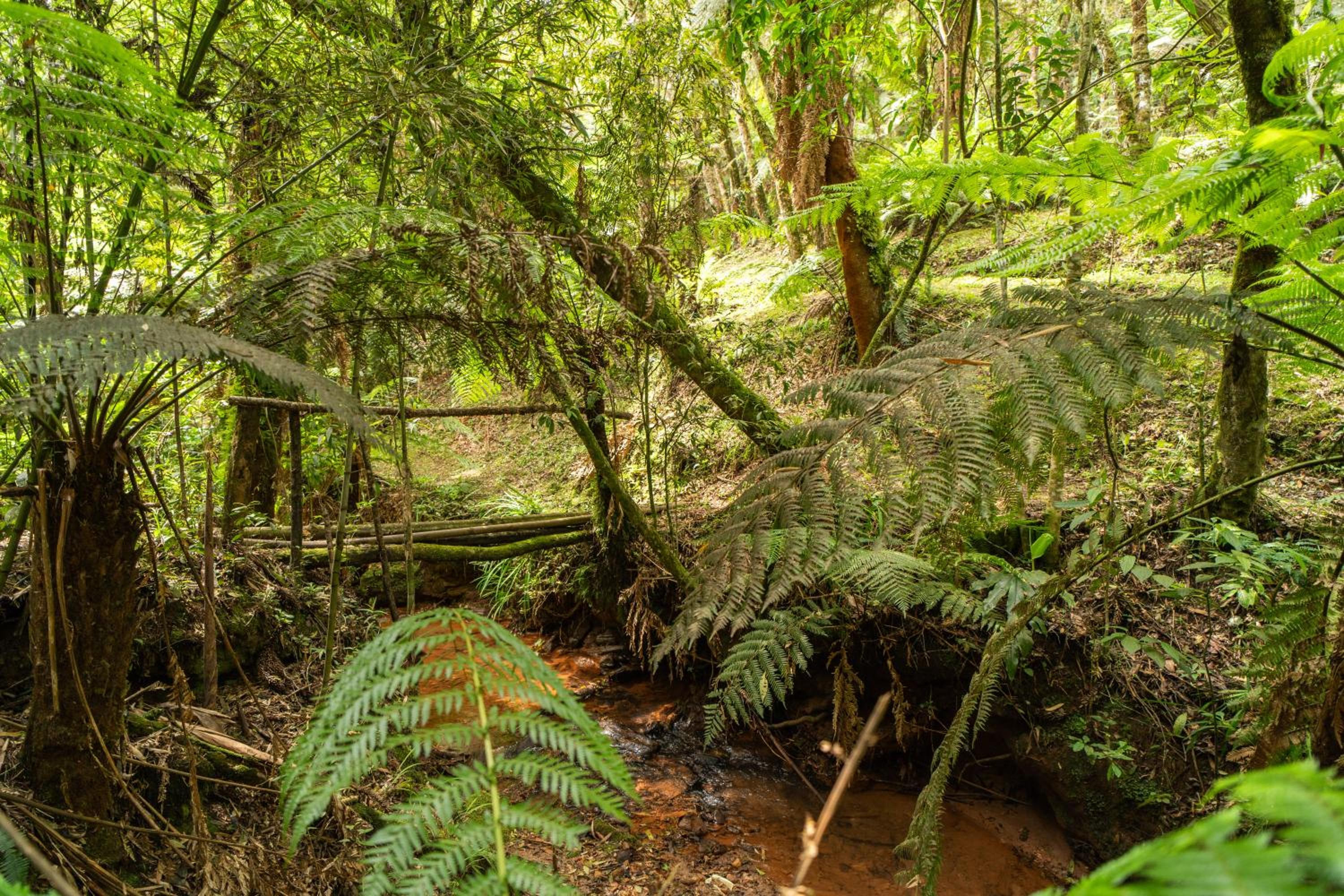 Incrível casa com cachoeira em meio à natureza