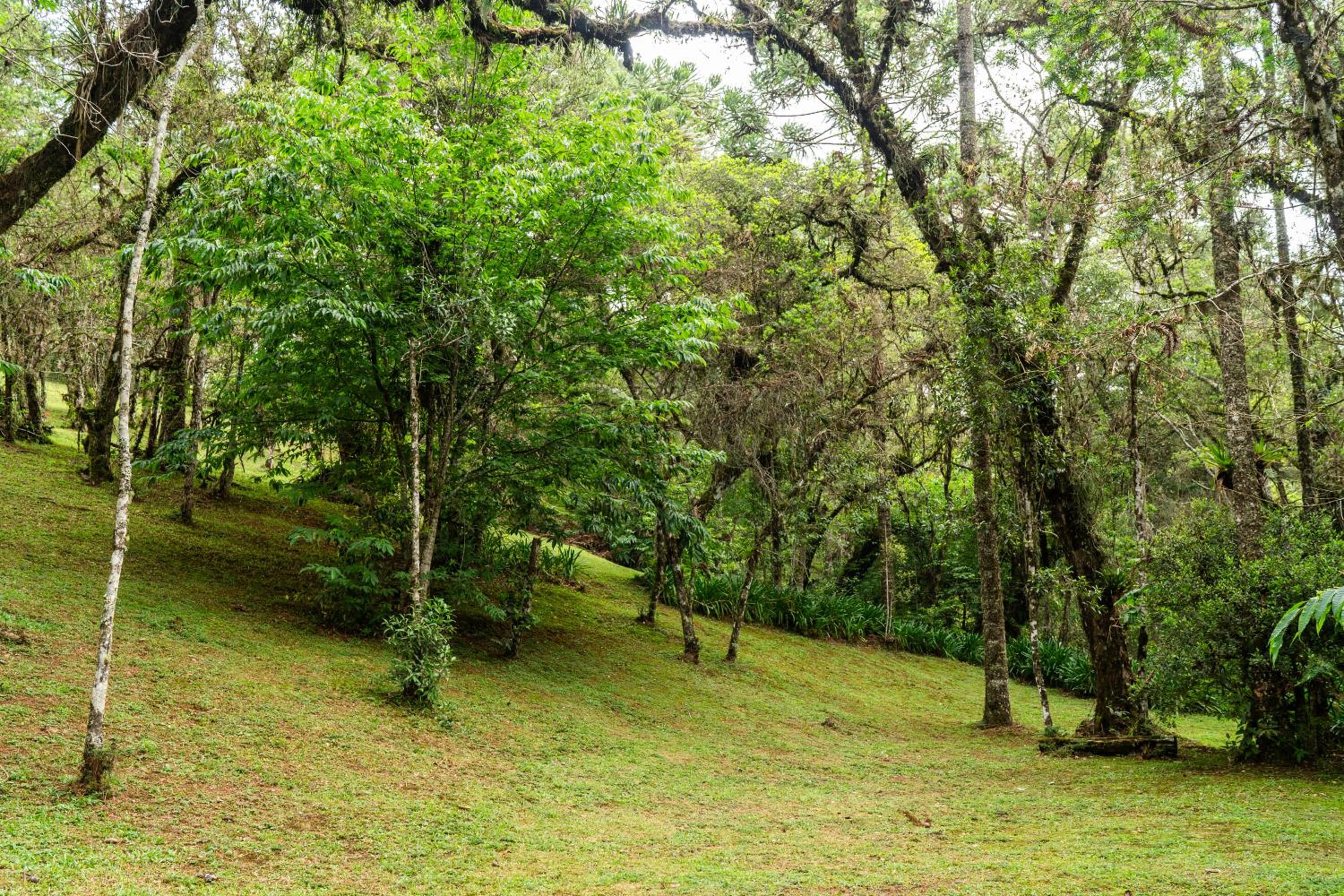 Incrível casa com cachoeira em meio à natureza