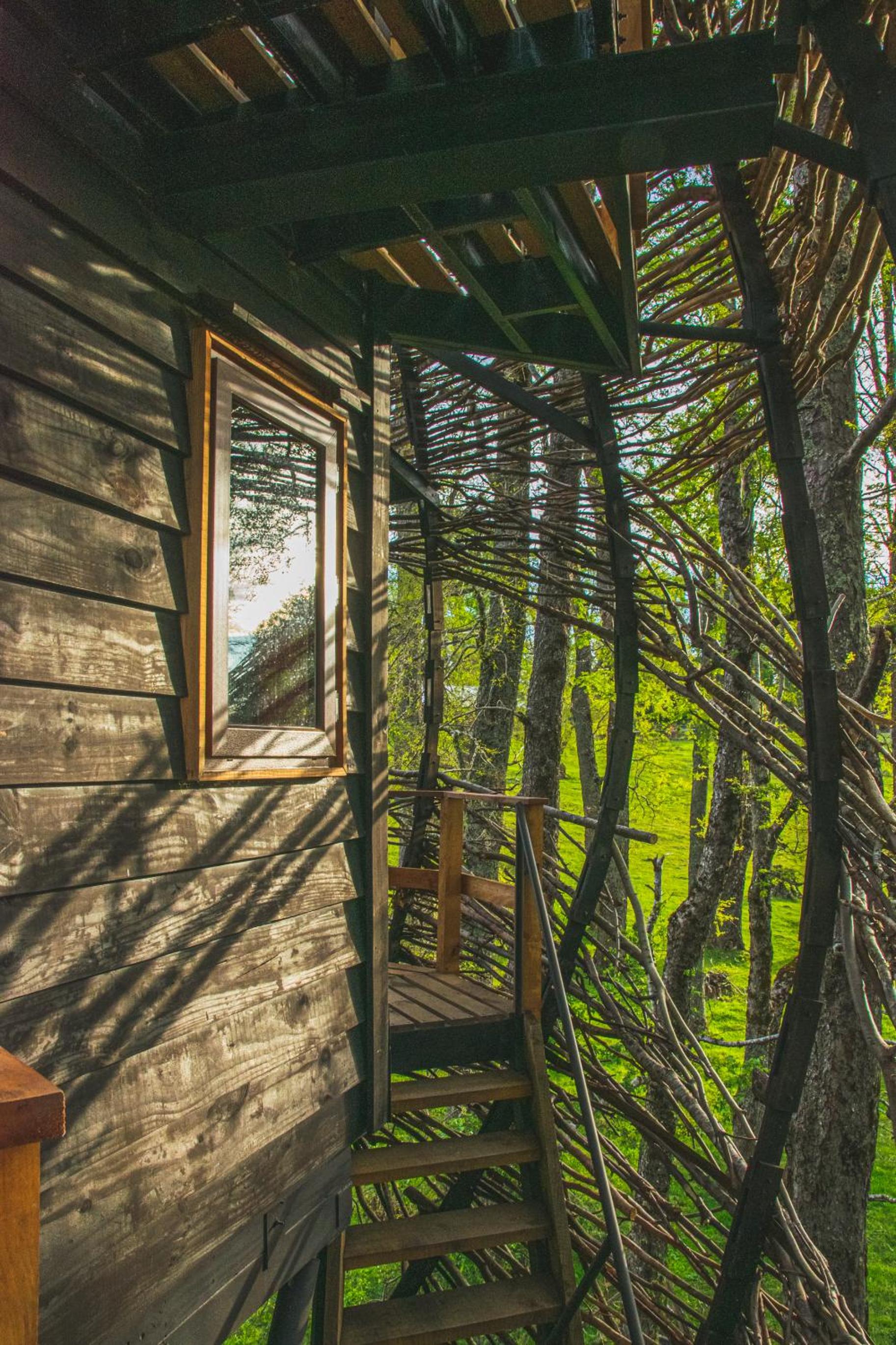 PUCON Casa Arbol