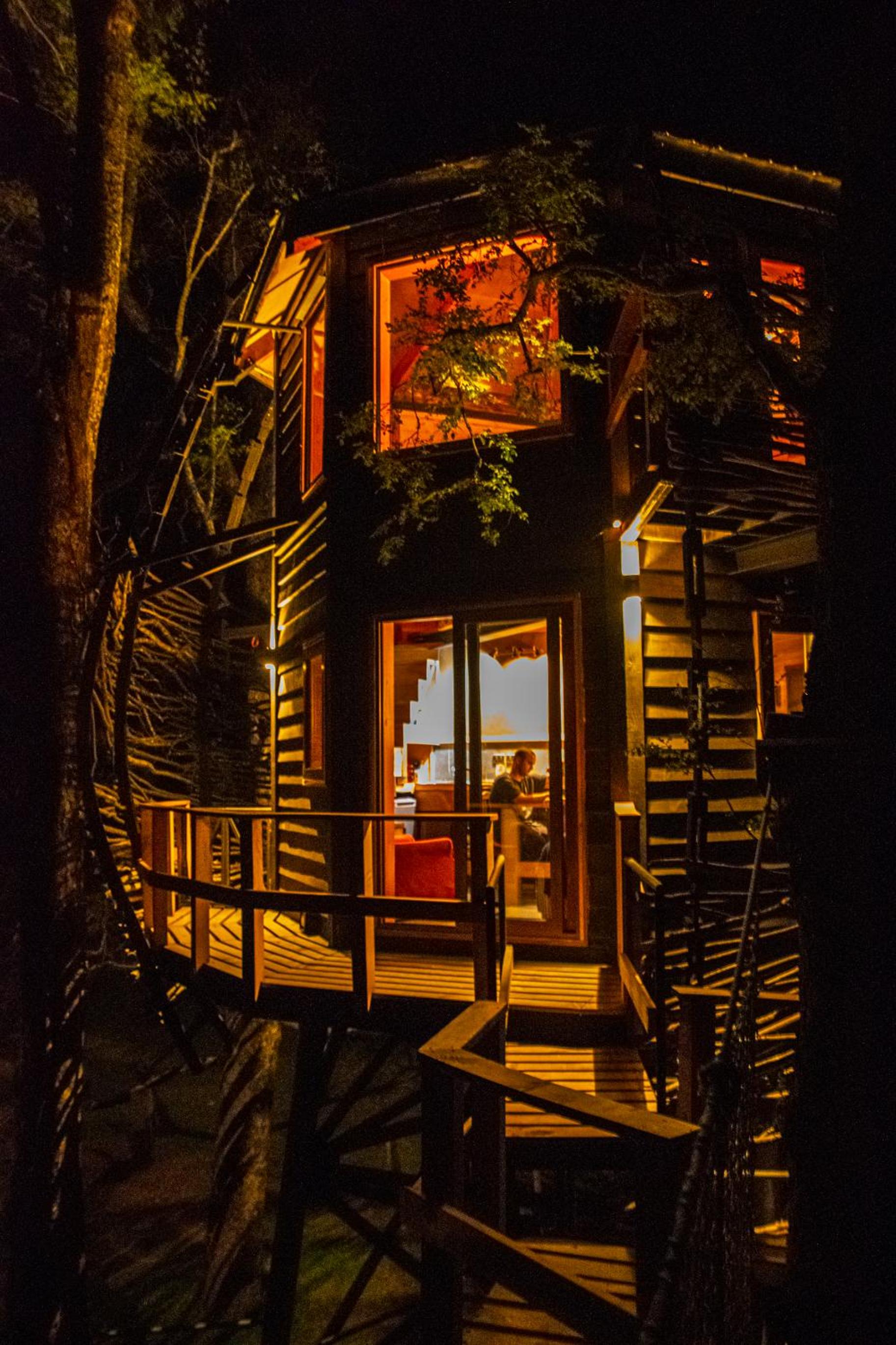 PUCON Casa Arbol