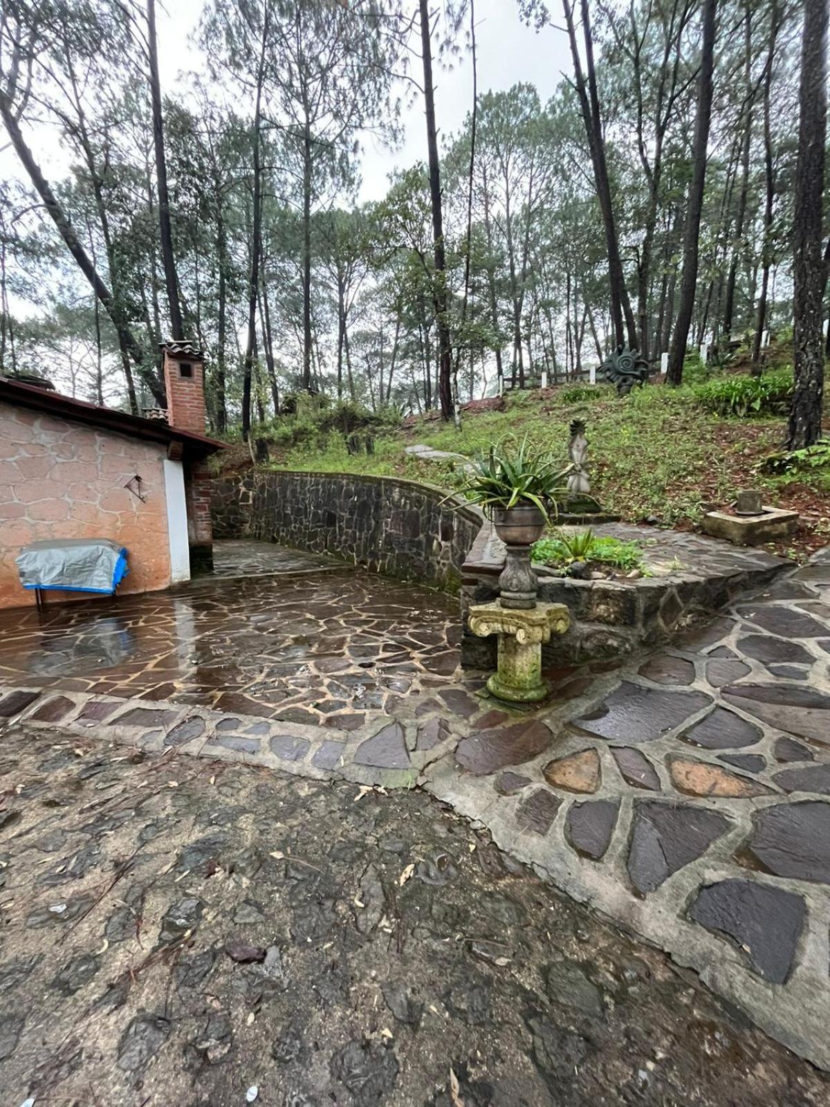 CABAÑA EN MAZAMITLA