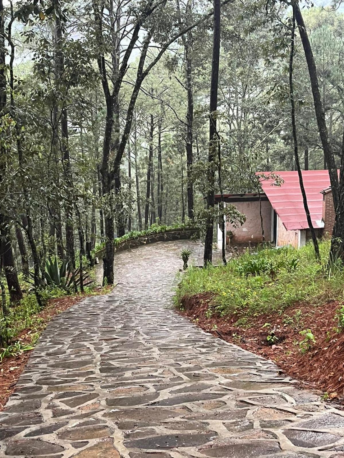 CABAÑA EN MAZAMITLA