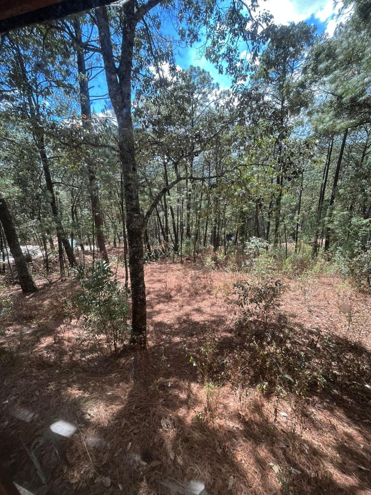CABAÑA EN MAZAMITLA
