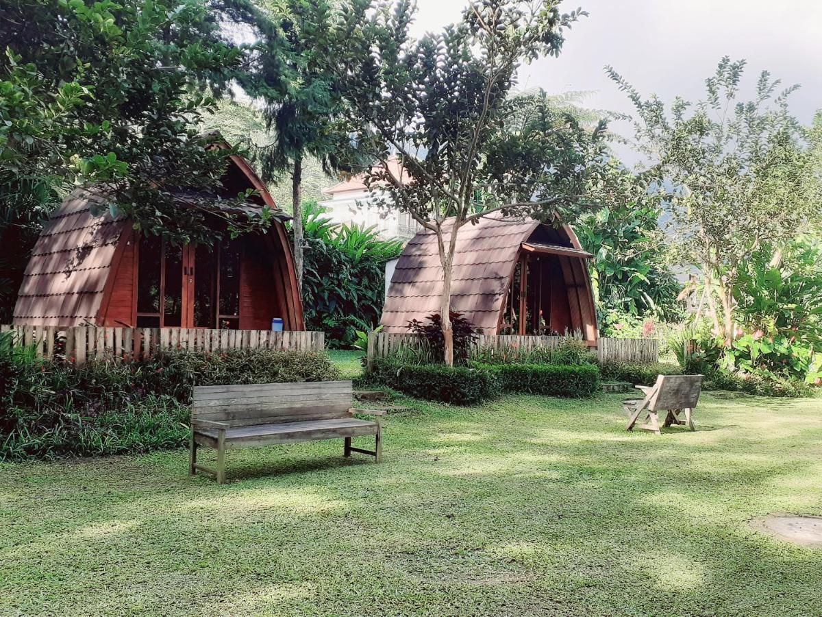 OAK TREE BALI view 2