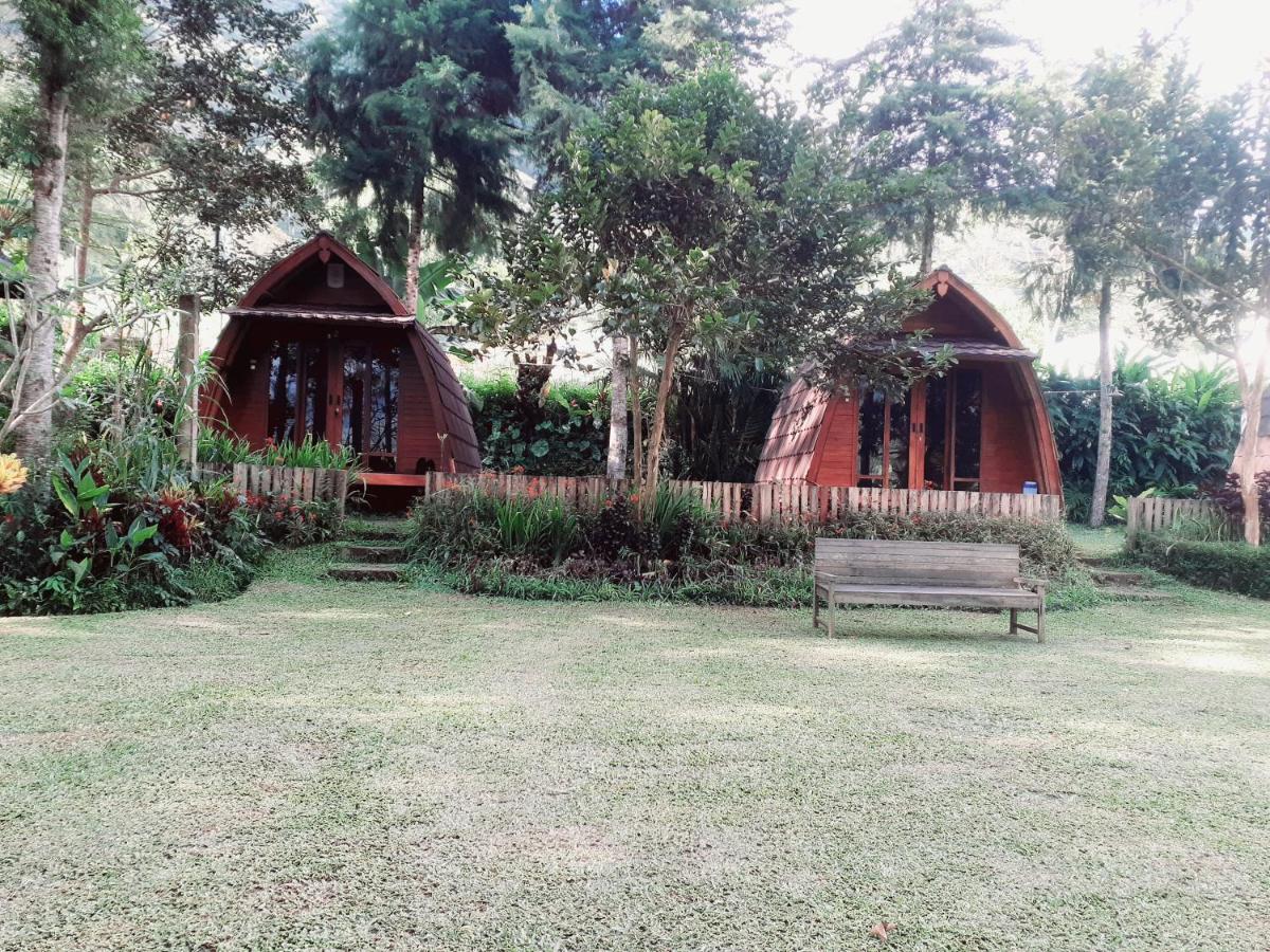 OAK TREE BALI view 4