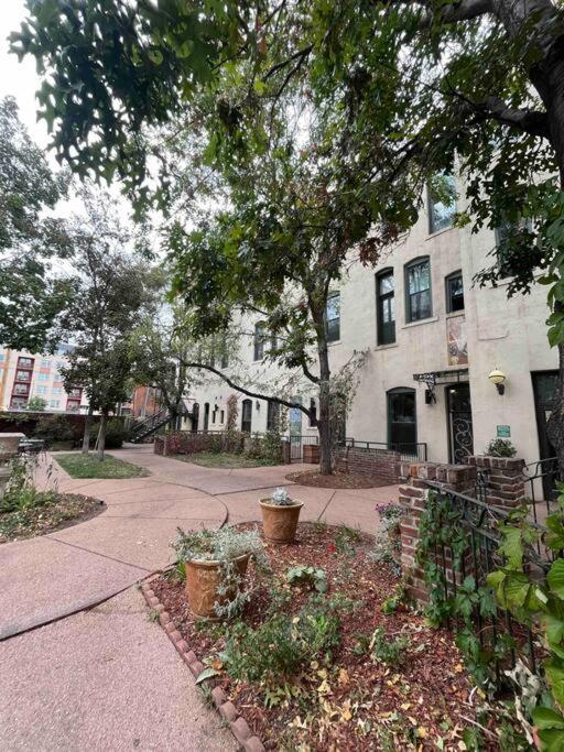 Affordable & Chic RiNo/LoDo/Dtown Loft- Walkable view 3