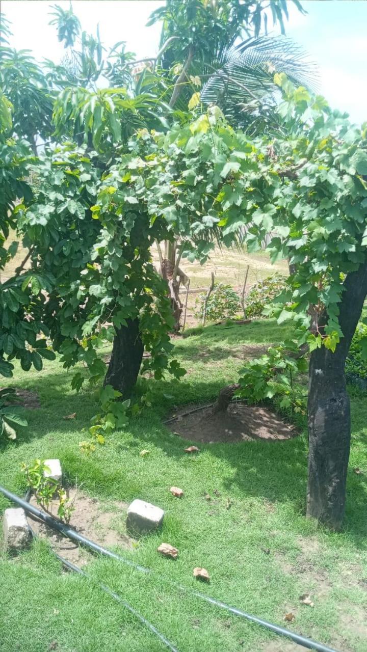 Itacalviento