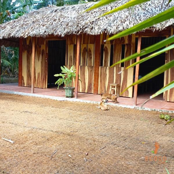 Ecoco Homestay Mekong view 3