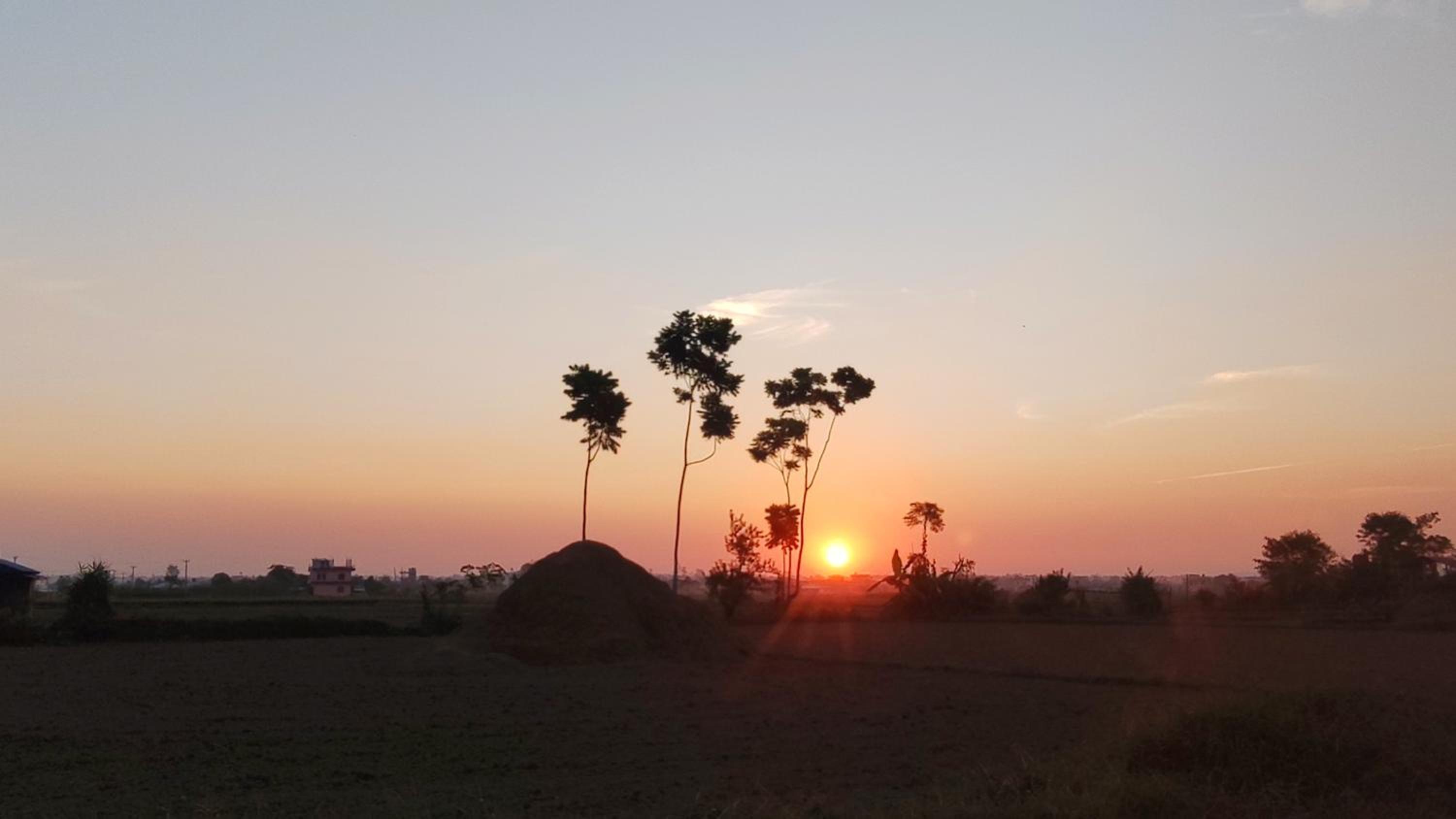 Hotel Rhino Land-Sauraha Family Home