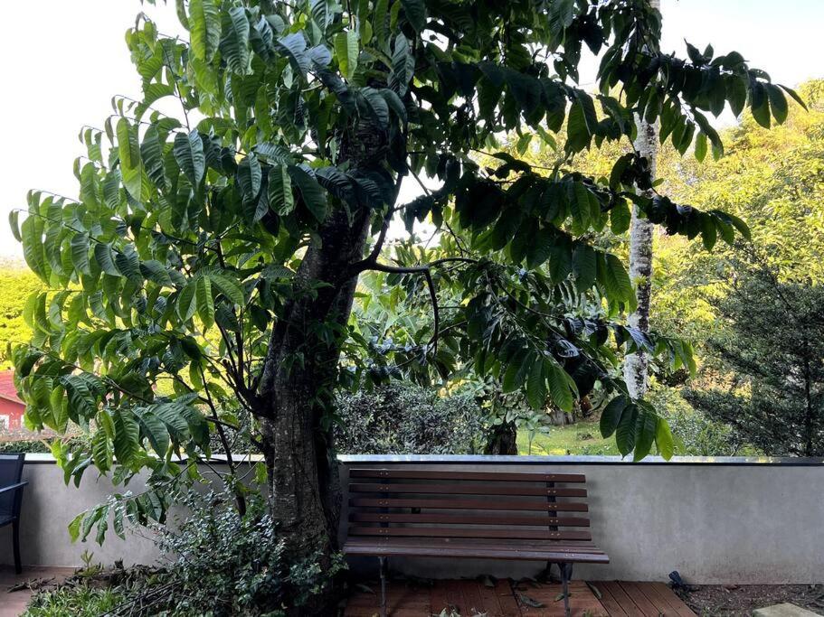 Amor ao Mar, Jardim e SPA em Cabeçudas OKA-REAL