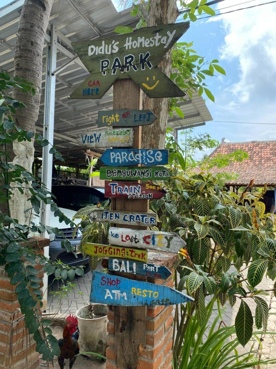 Didu's Homestay Bed & Breakfast view 2