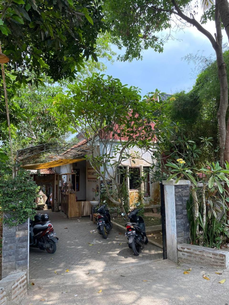 Hotel Didu's Homestay Bed & Breakfast - Image 1