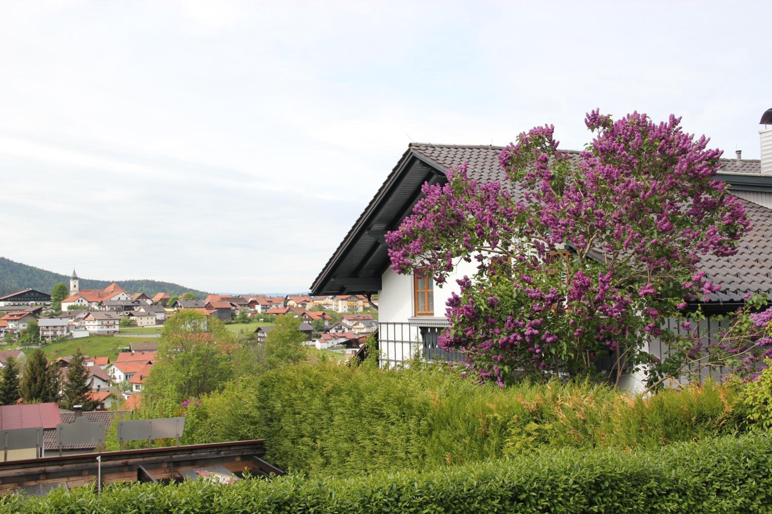 Villa Relax - Ferienwohnungen & Hallenbad & Relaxgarten