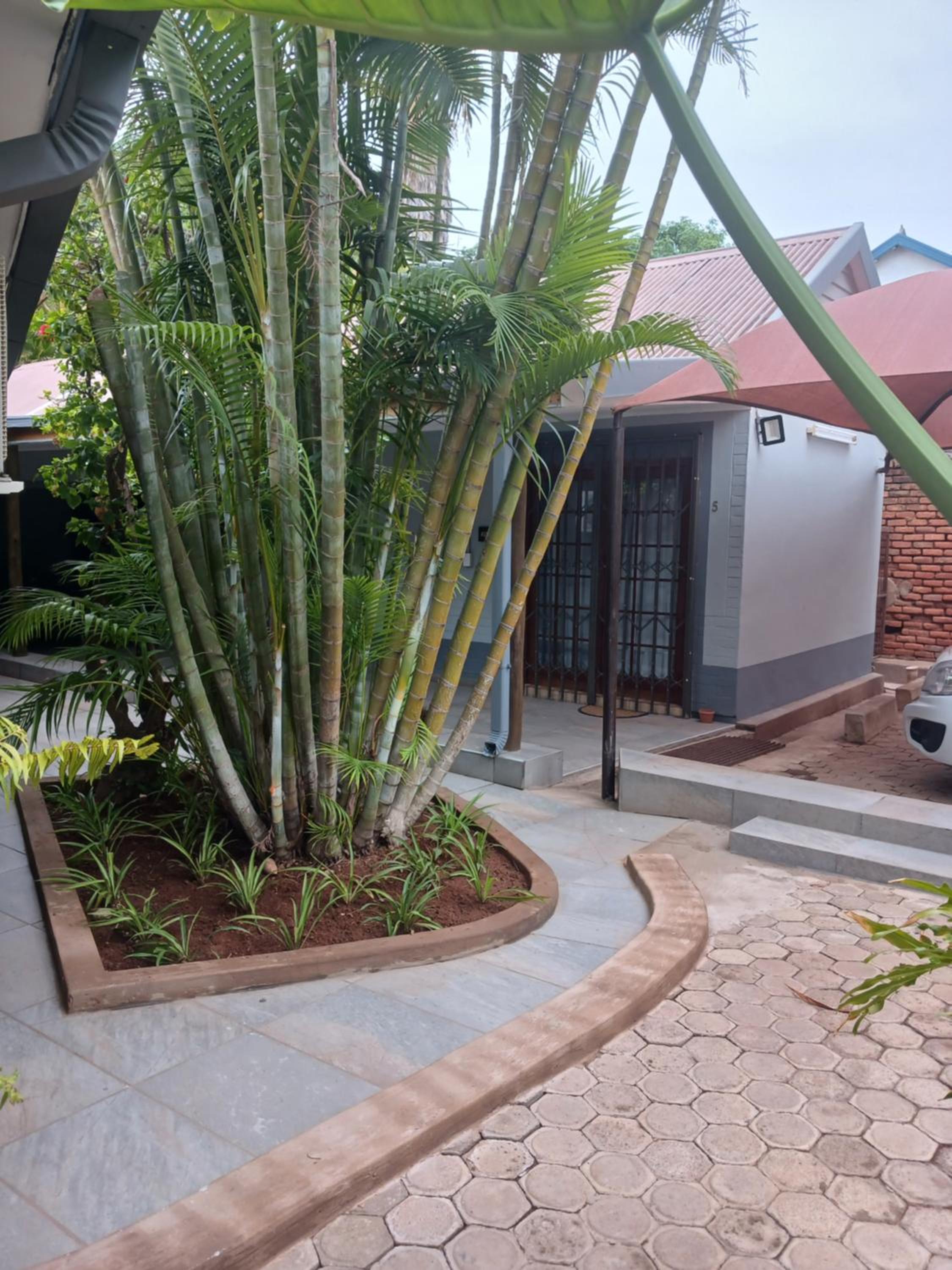 Photo 15