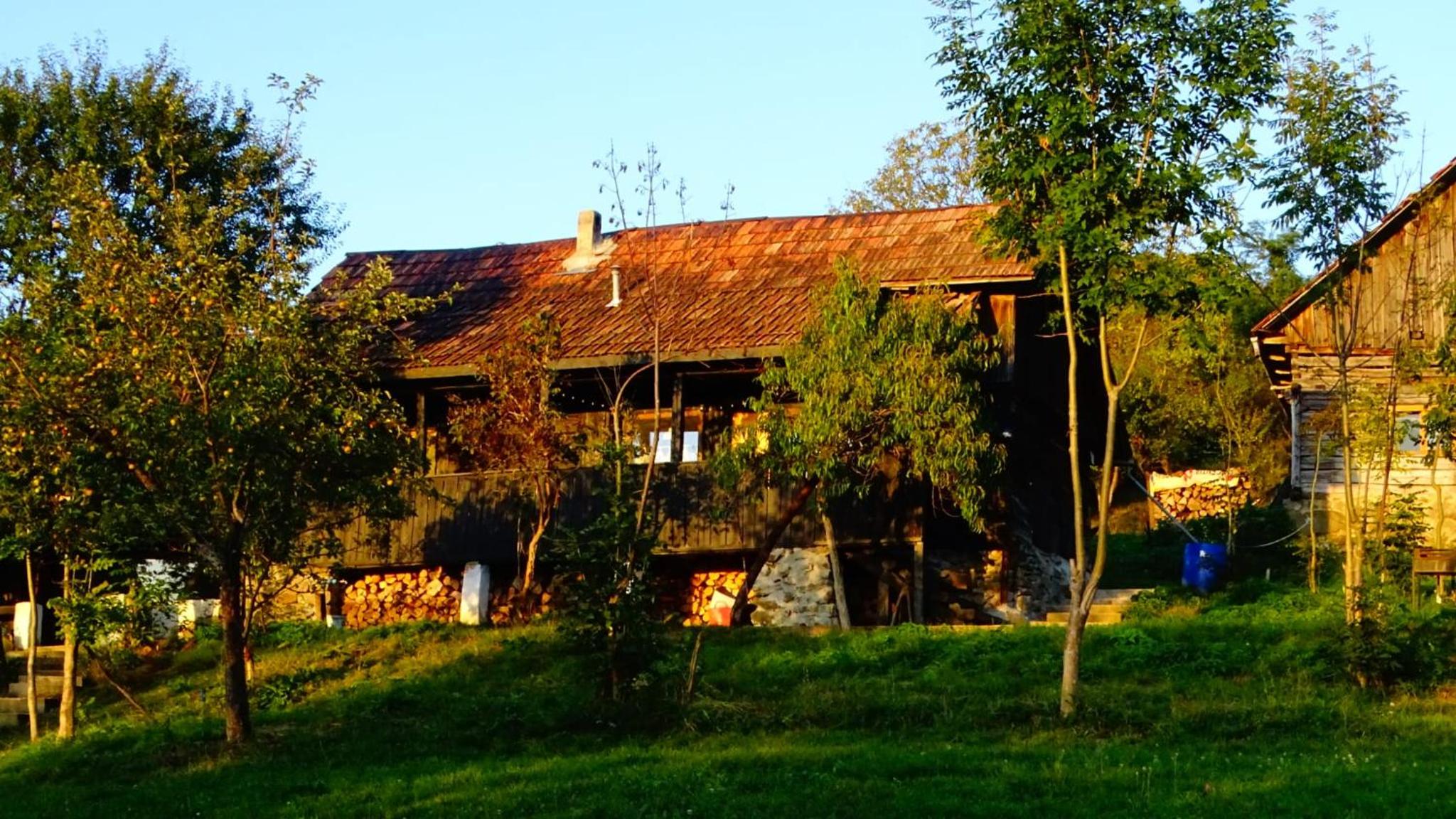Photo 18