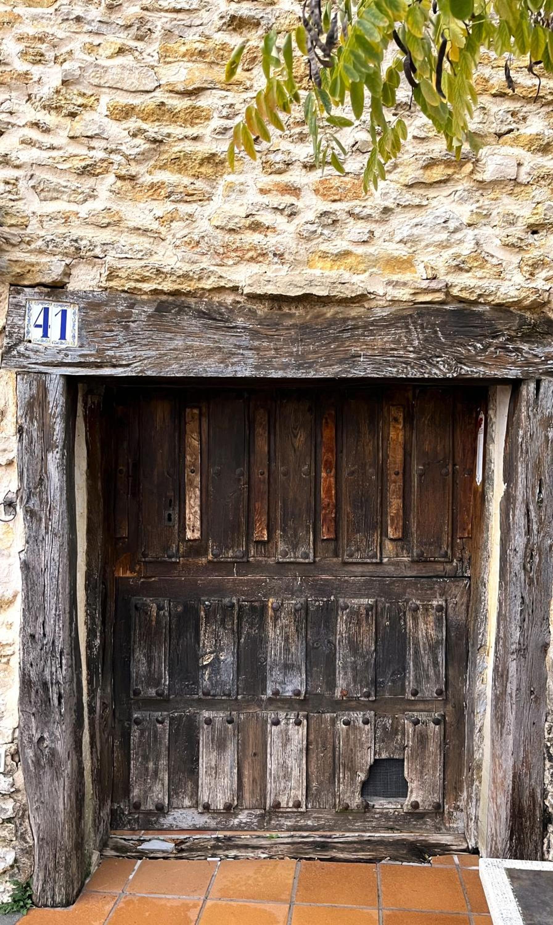 Photo 21