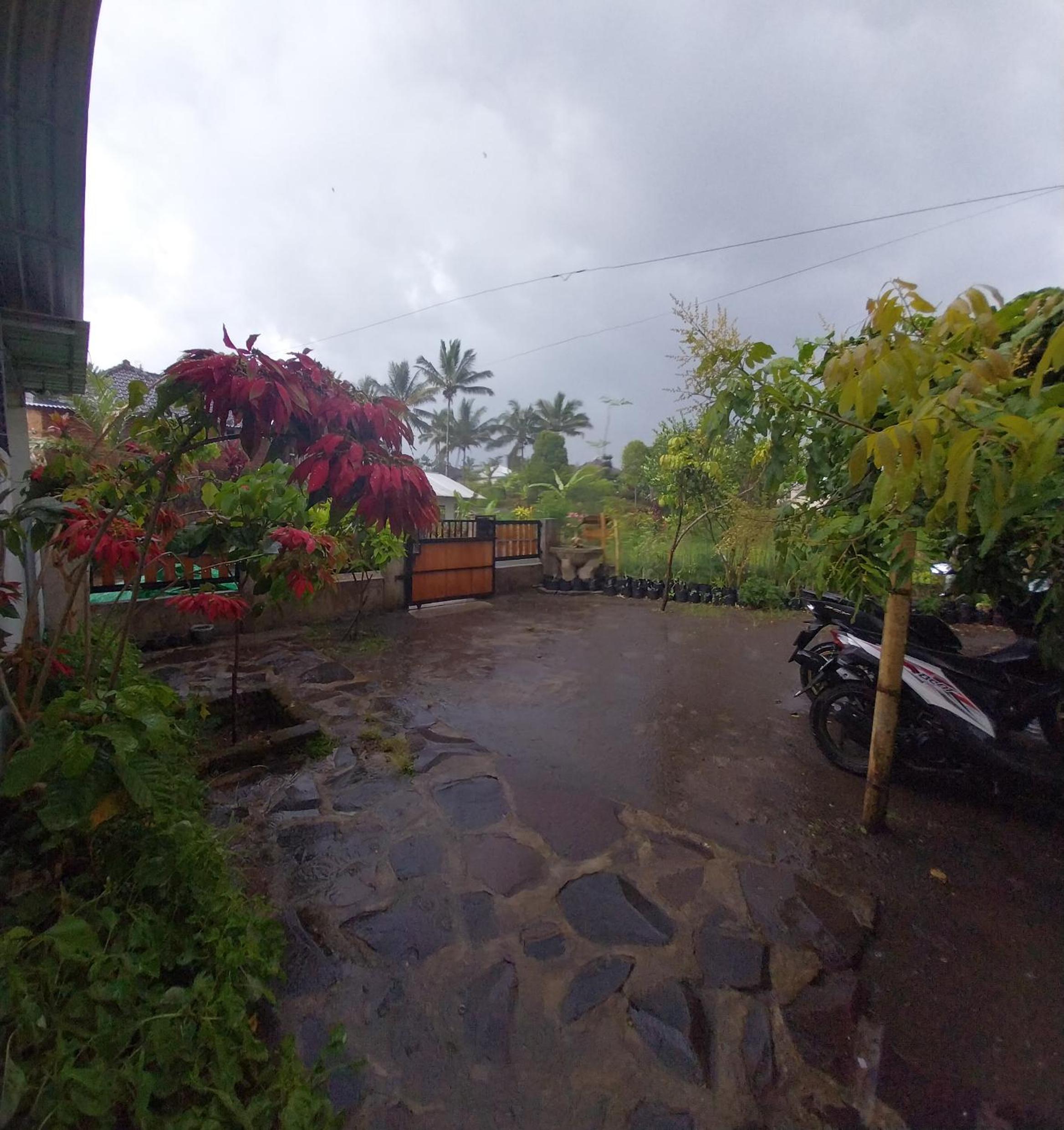 Raturinjani homestay